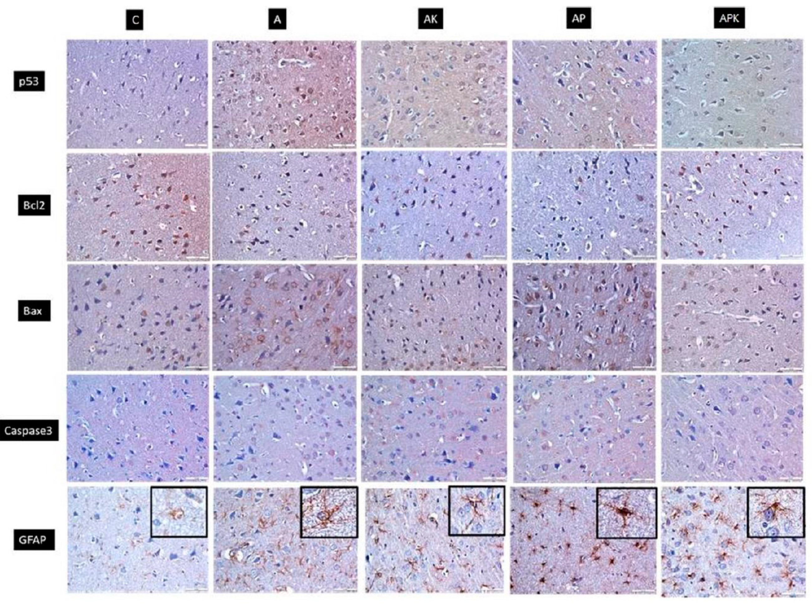 Medicina 60 01266 g002