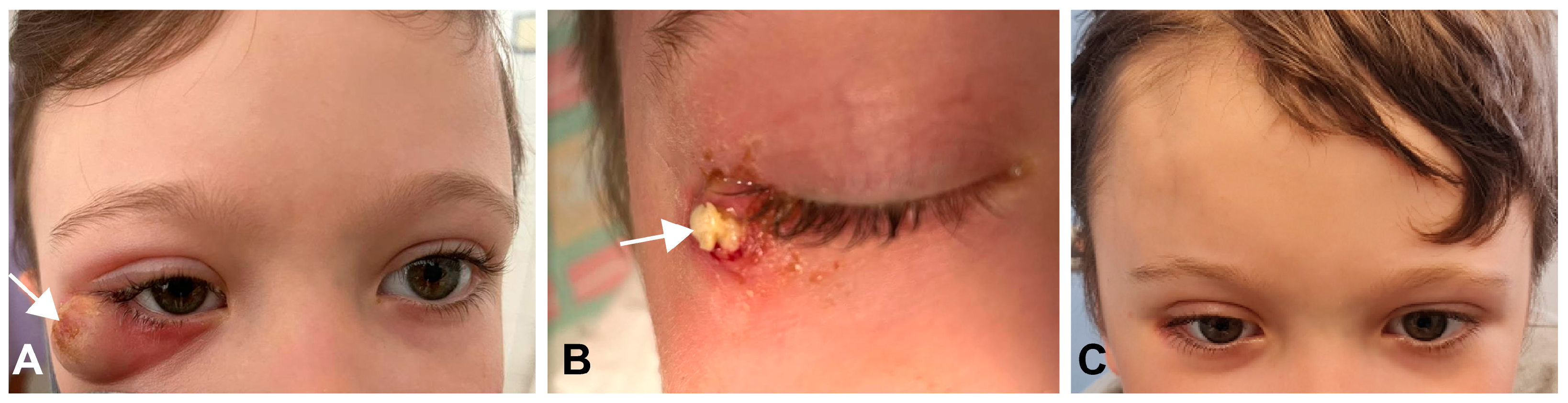 Medicina 60 01267 g001