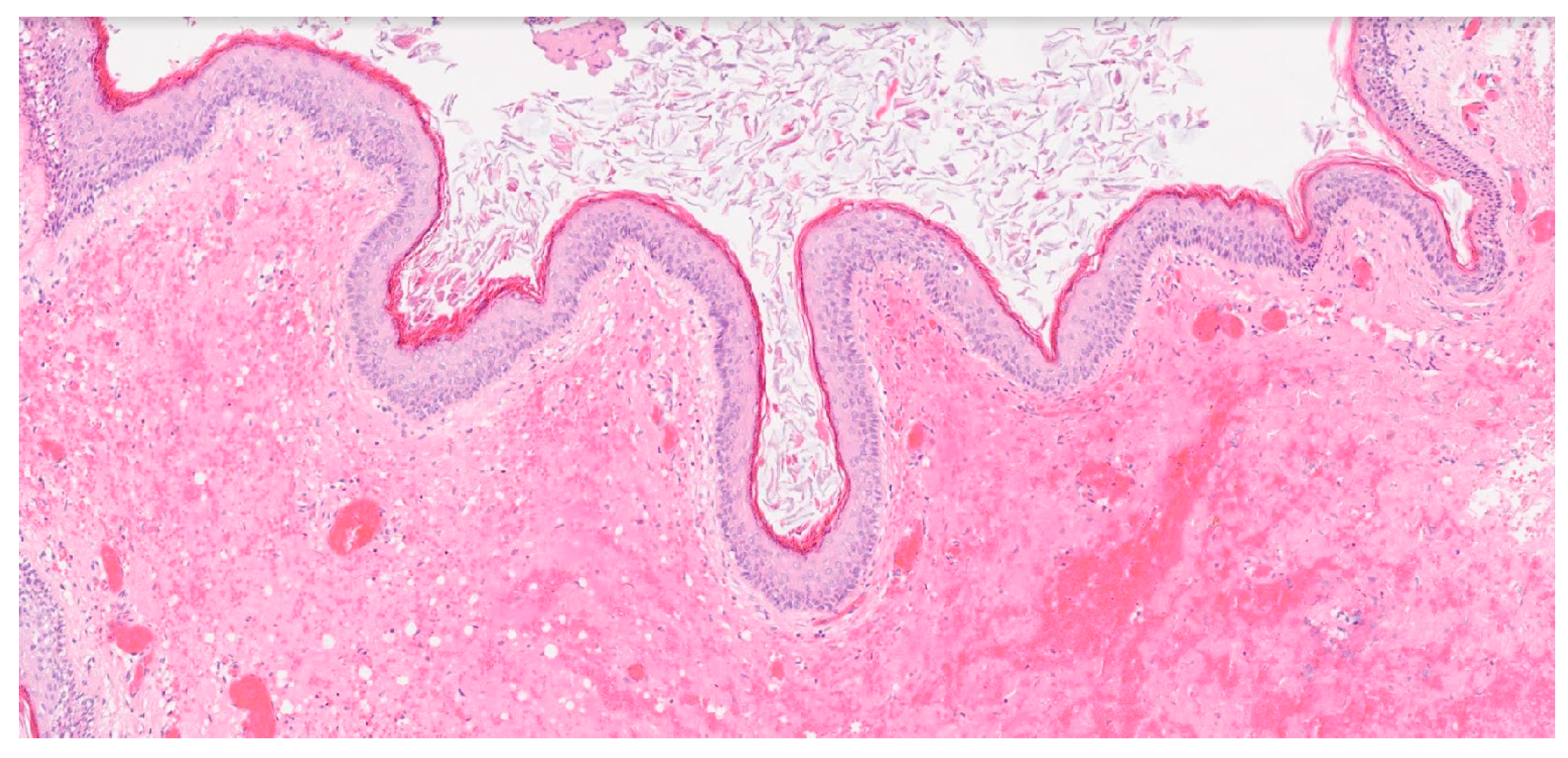 Medicina 60 01267 g005