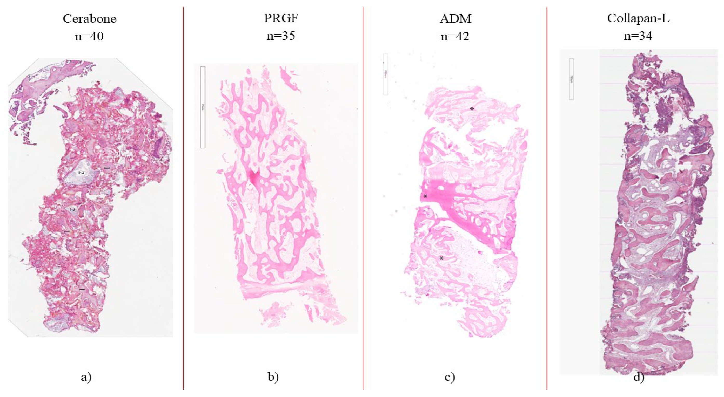 Medicina 60 01280 g006 Medicina 60 01280 g006