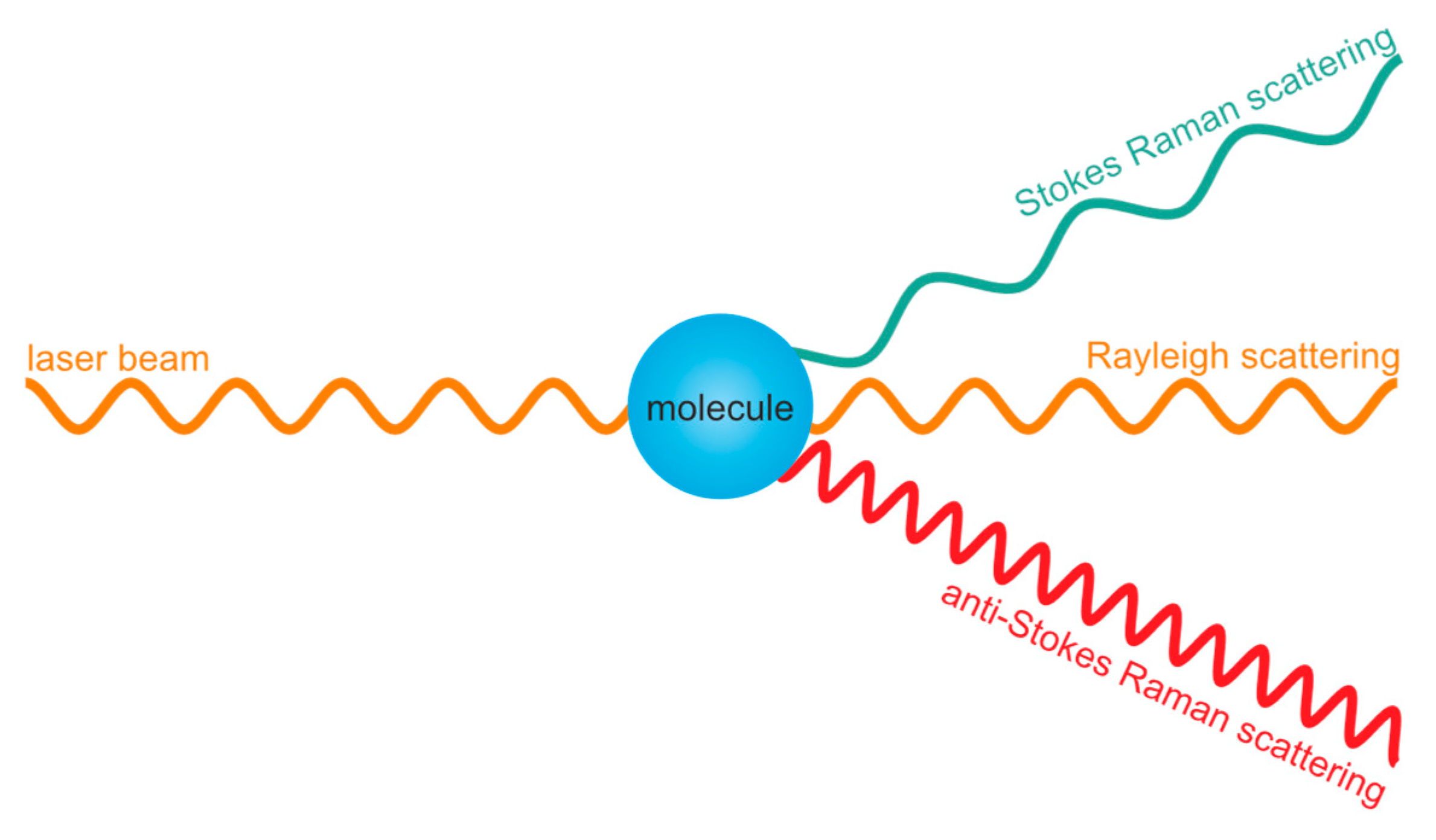 Medicina 60 01283 g001 Medicina 60 01283 g001