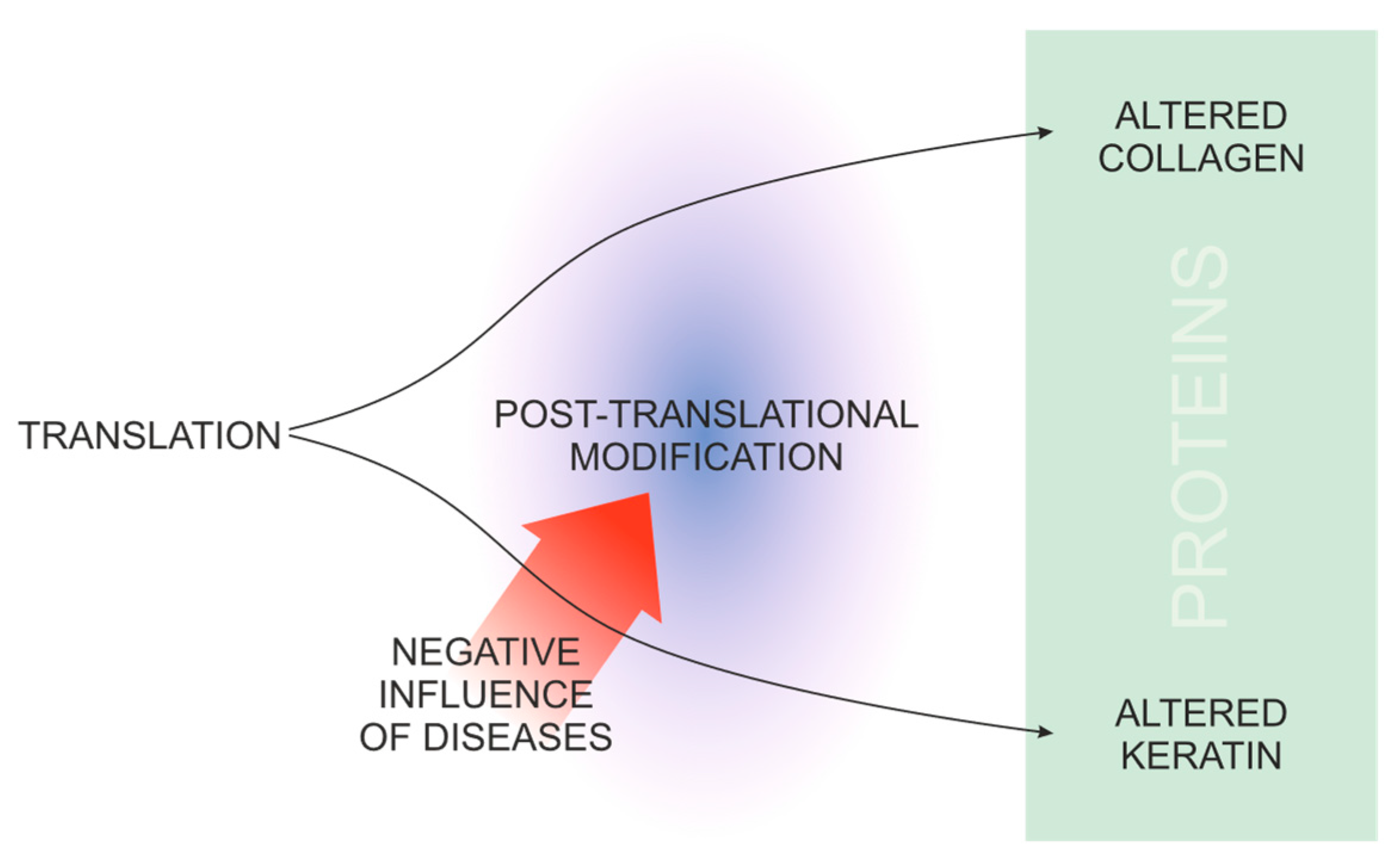 Medicina 60 01283 g002 Medicina 60 01283 g002