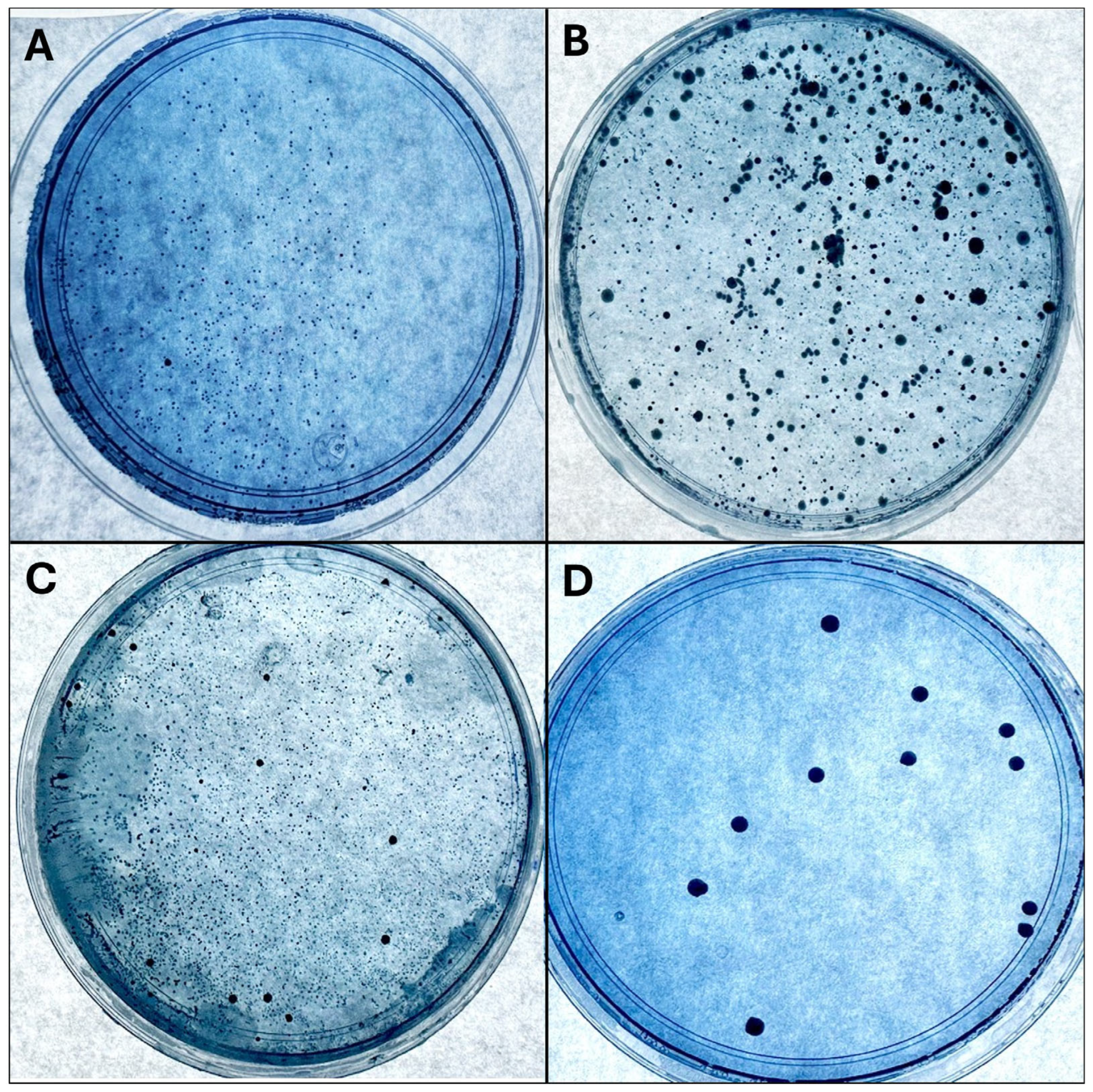 Medicina 60 01308 g001