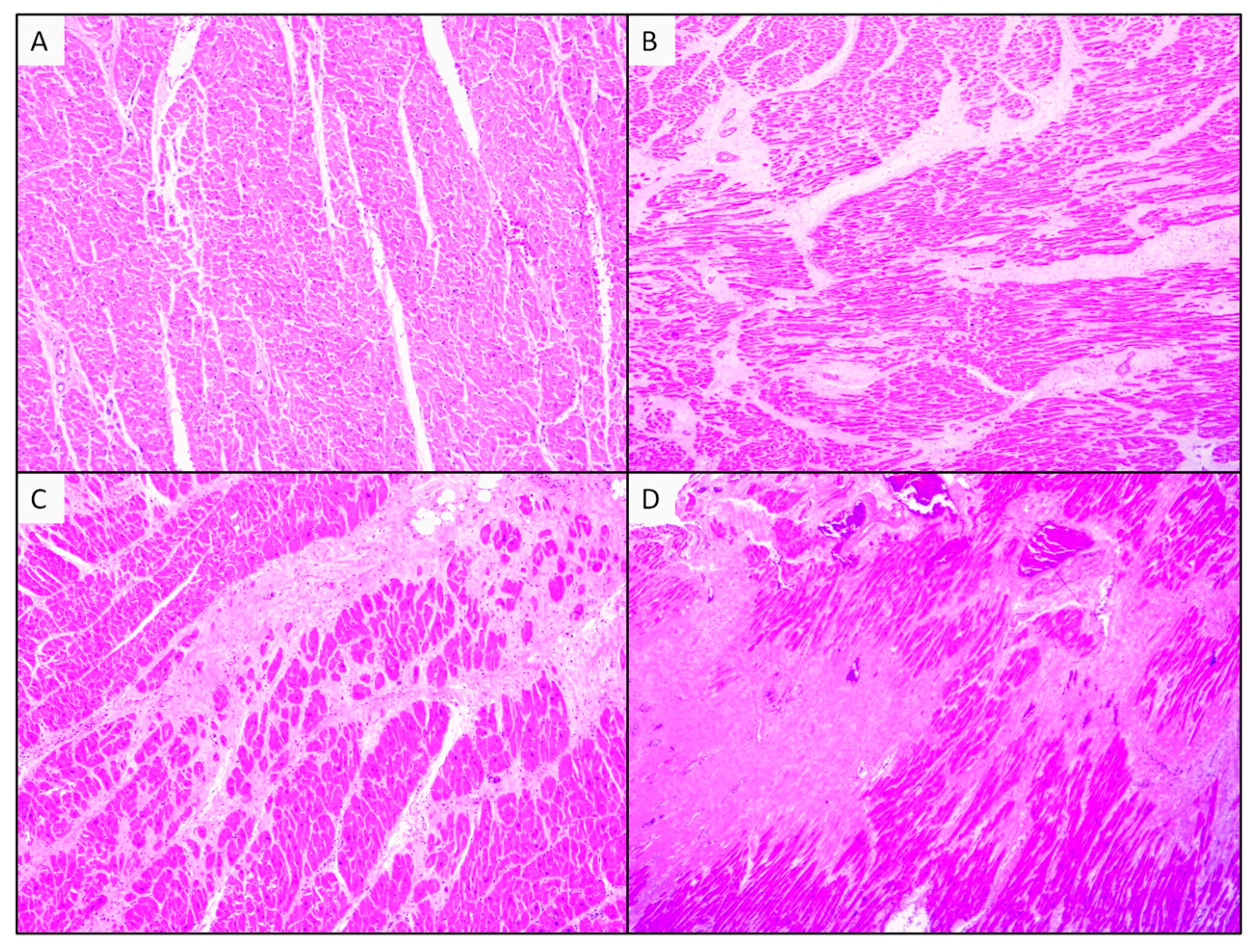 Medicina 60 01312 g003
