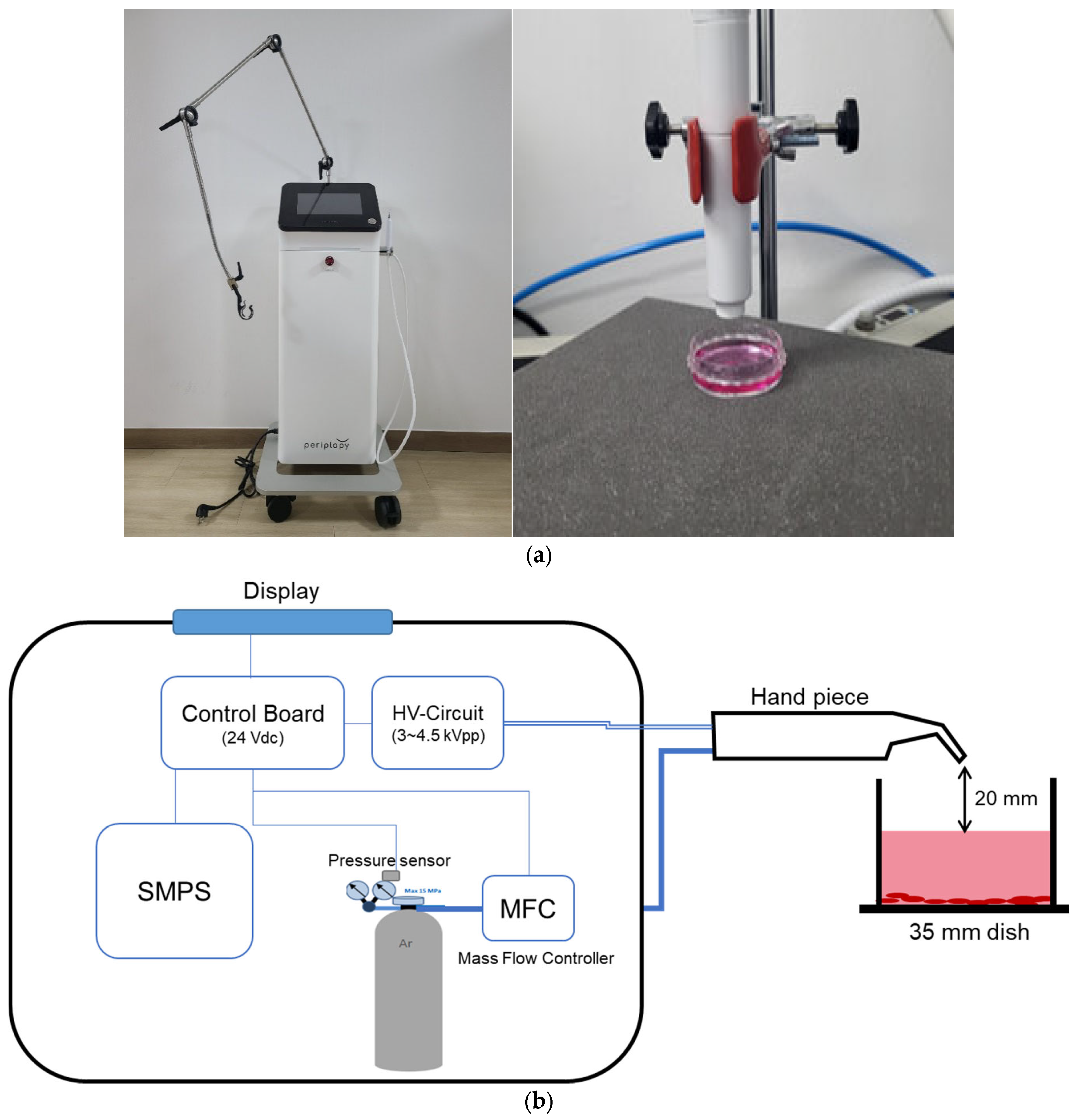 Medicina 60 01318 g001