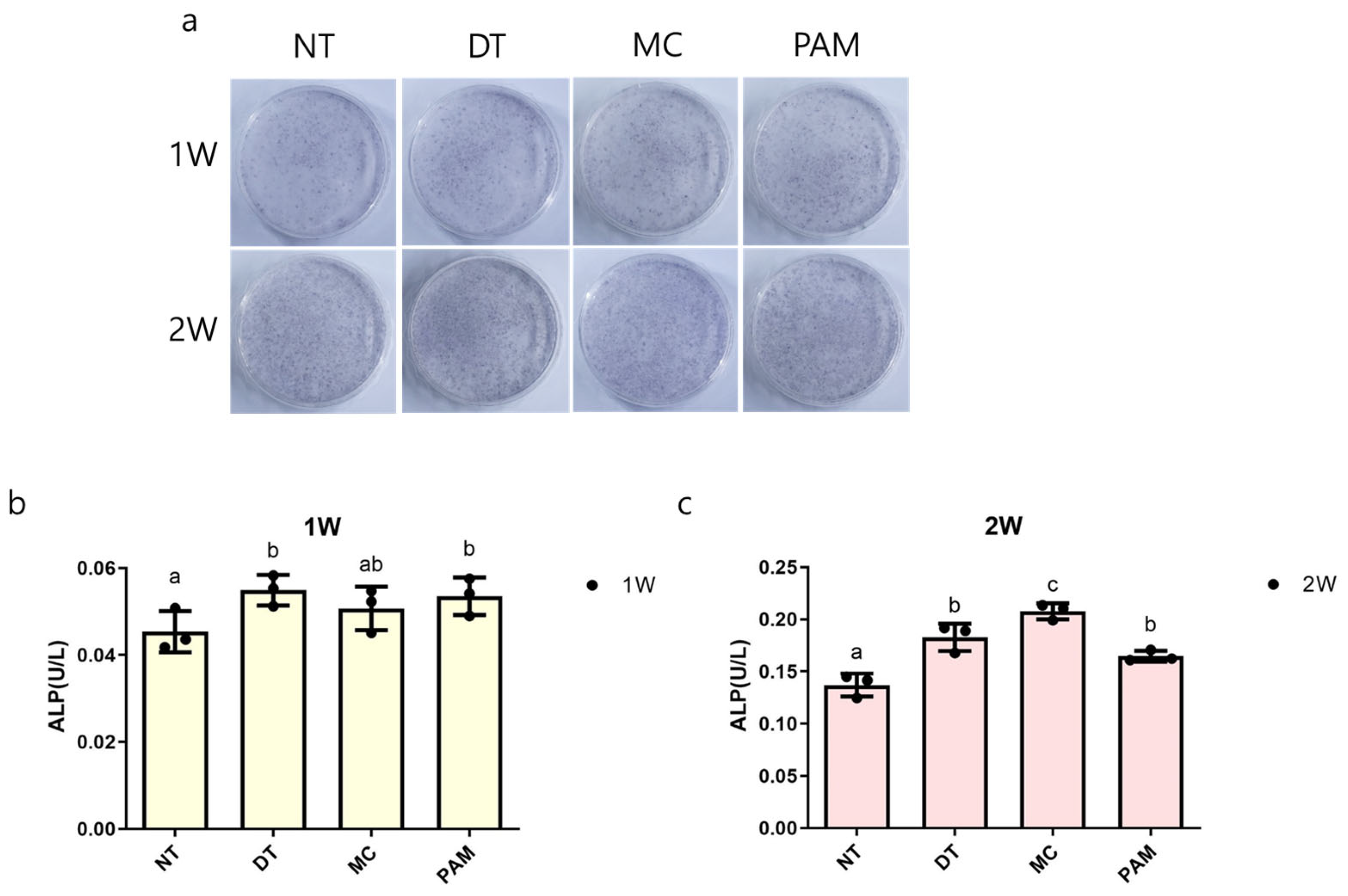 Medicina 60 01318 g003