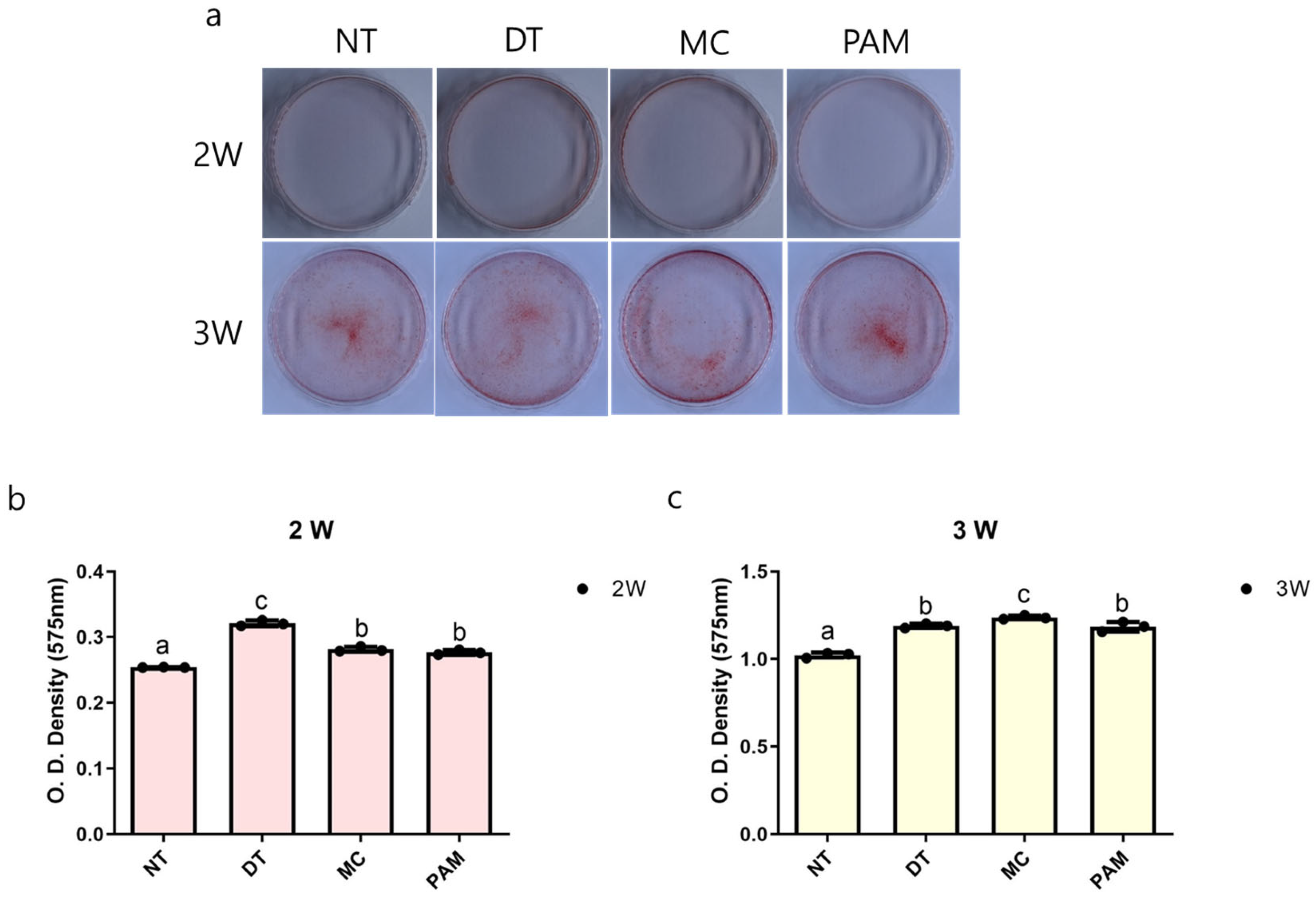 Medicina 60 01318 g004