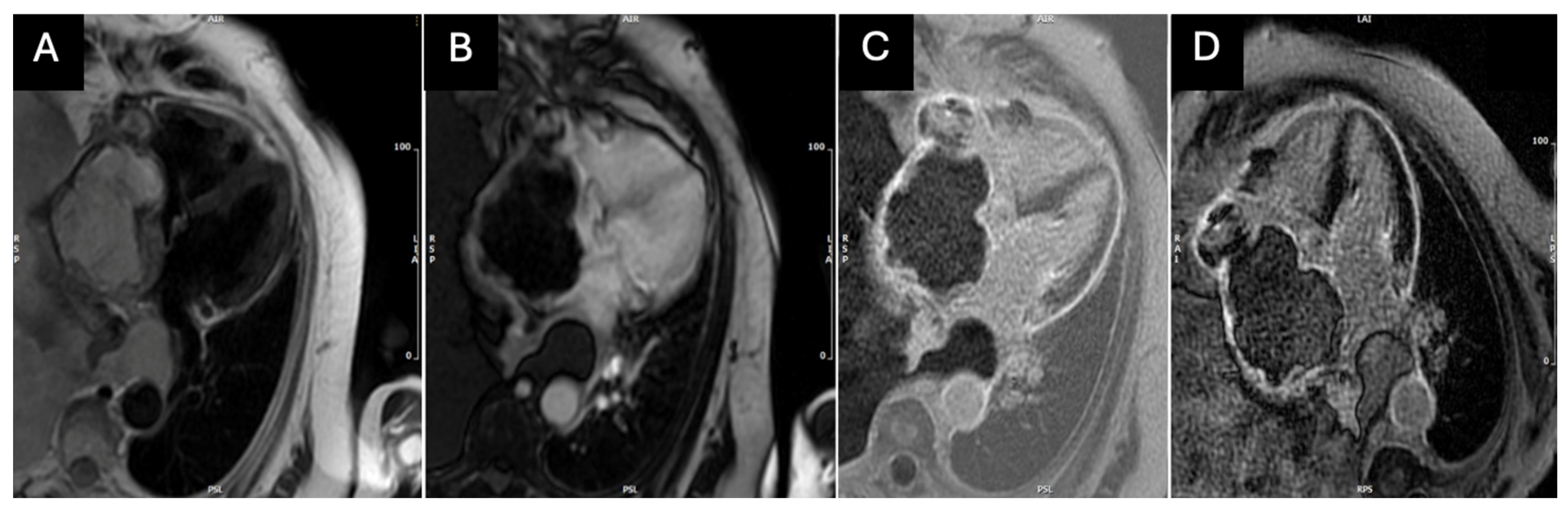 Medicina 60 01321 g004 Medicina 60 01321 g004