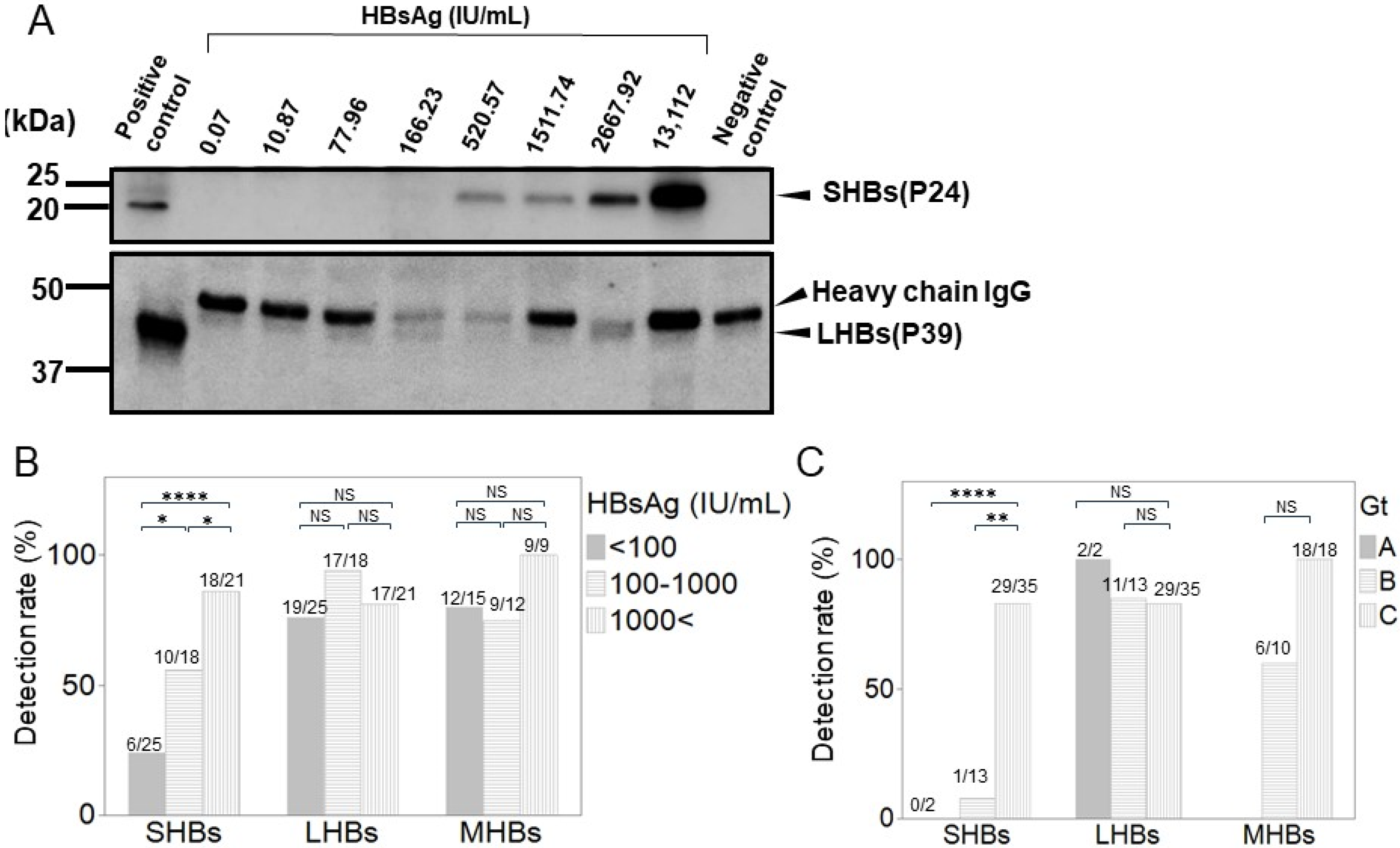 Medicina 60 01334 g005