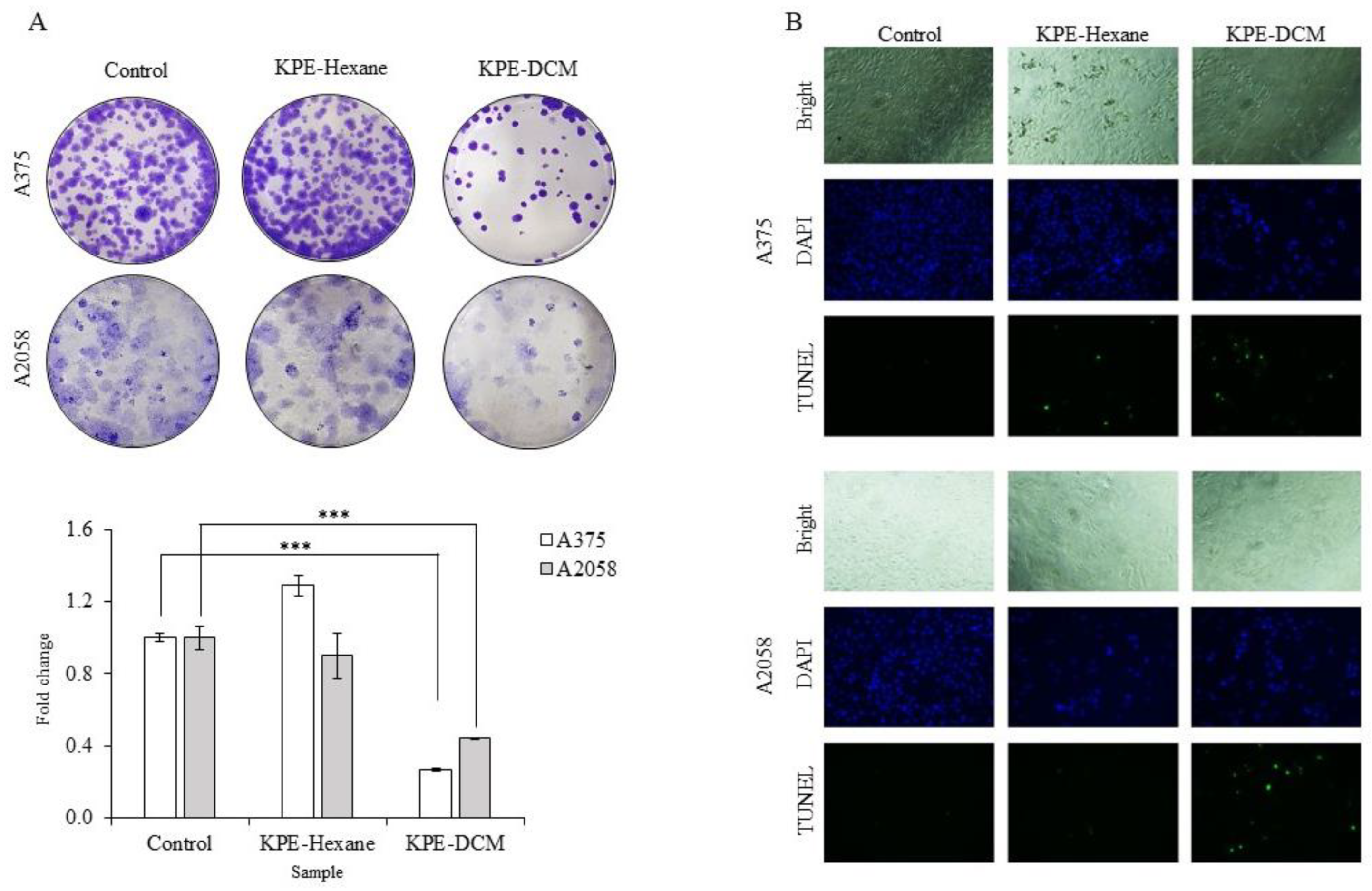 Medicina 60 01371 g004