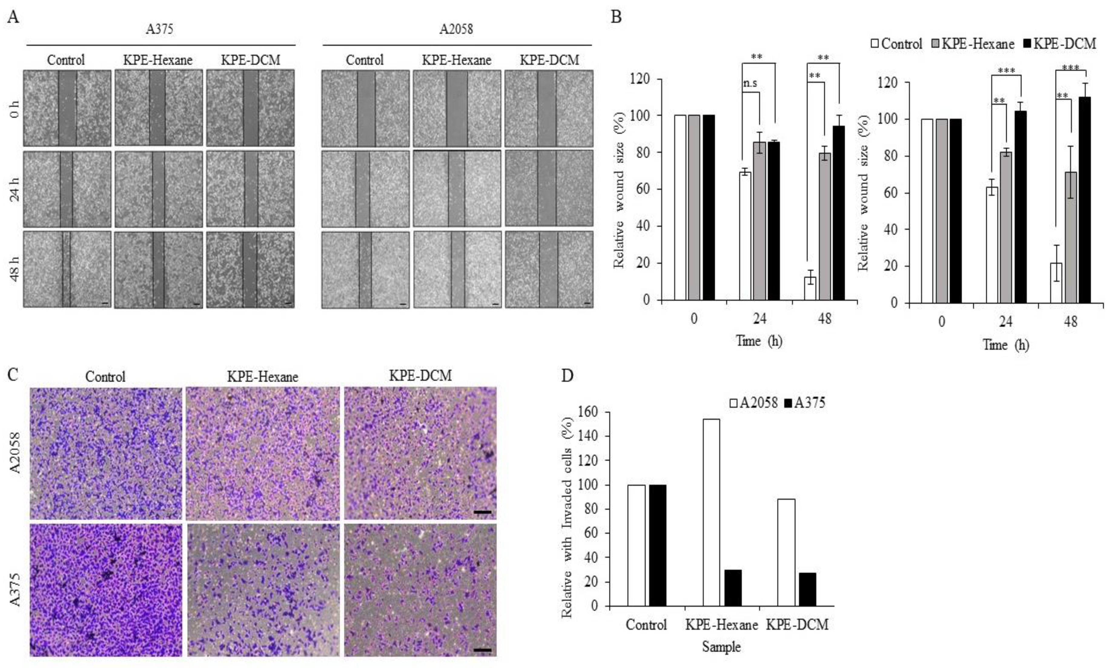 Medicina 60 01371 g005