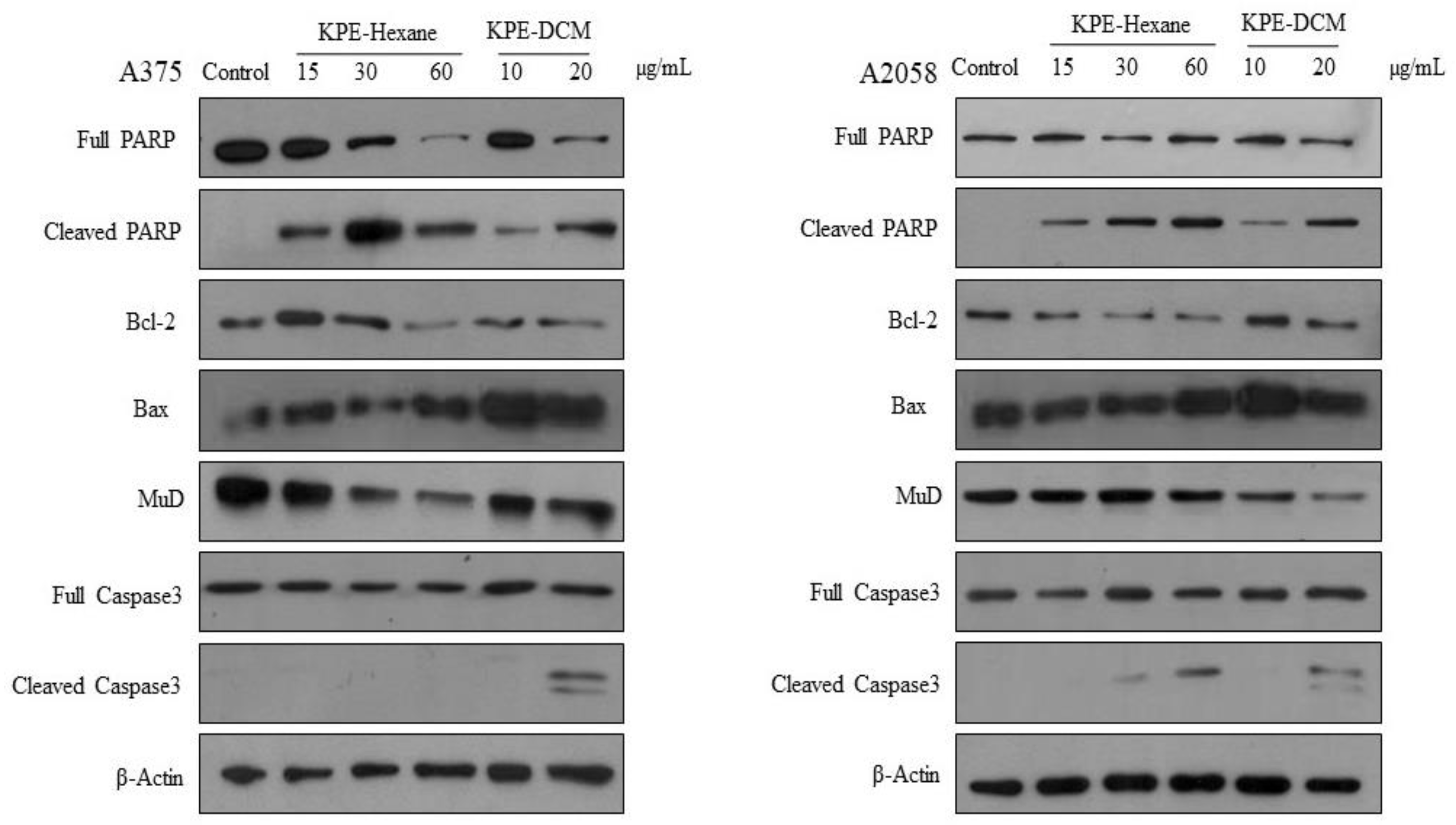 Medicina 60 01371 g009