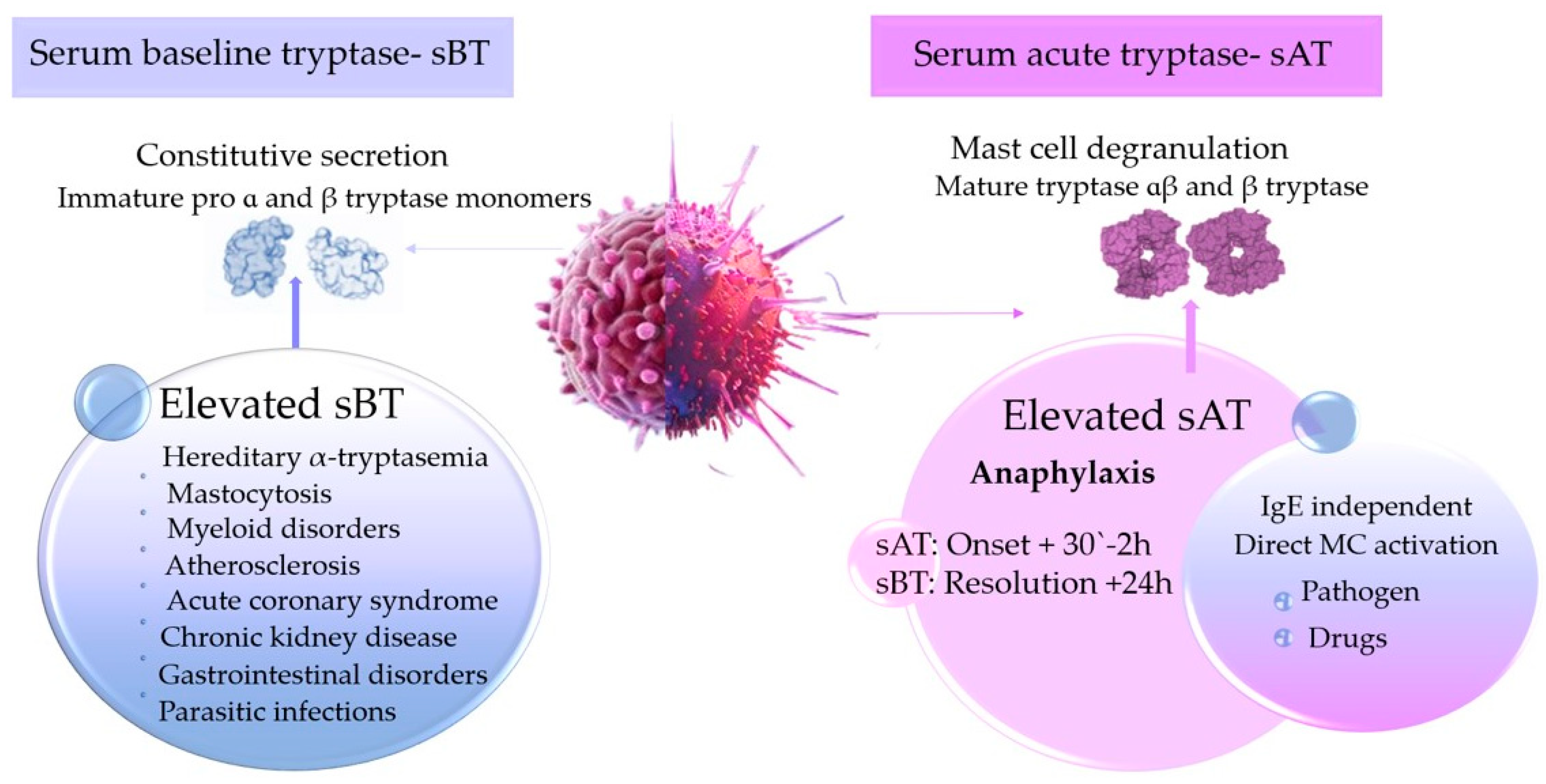 Medicina 60 01380 g001