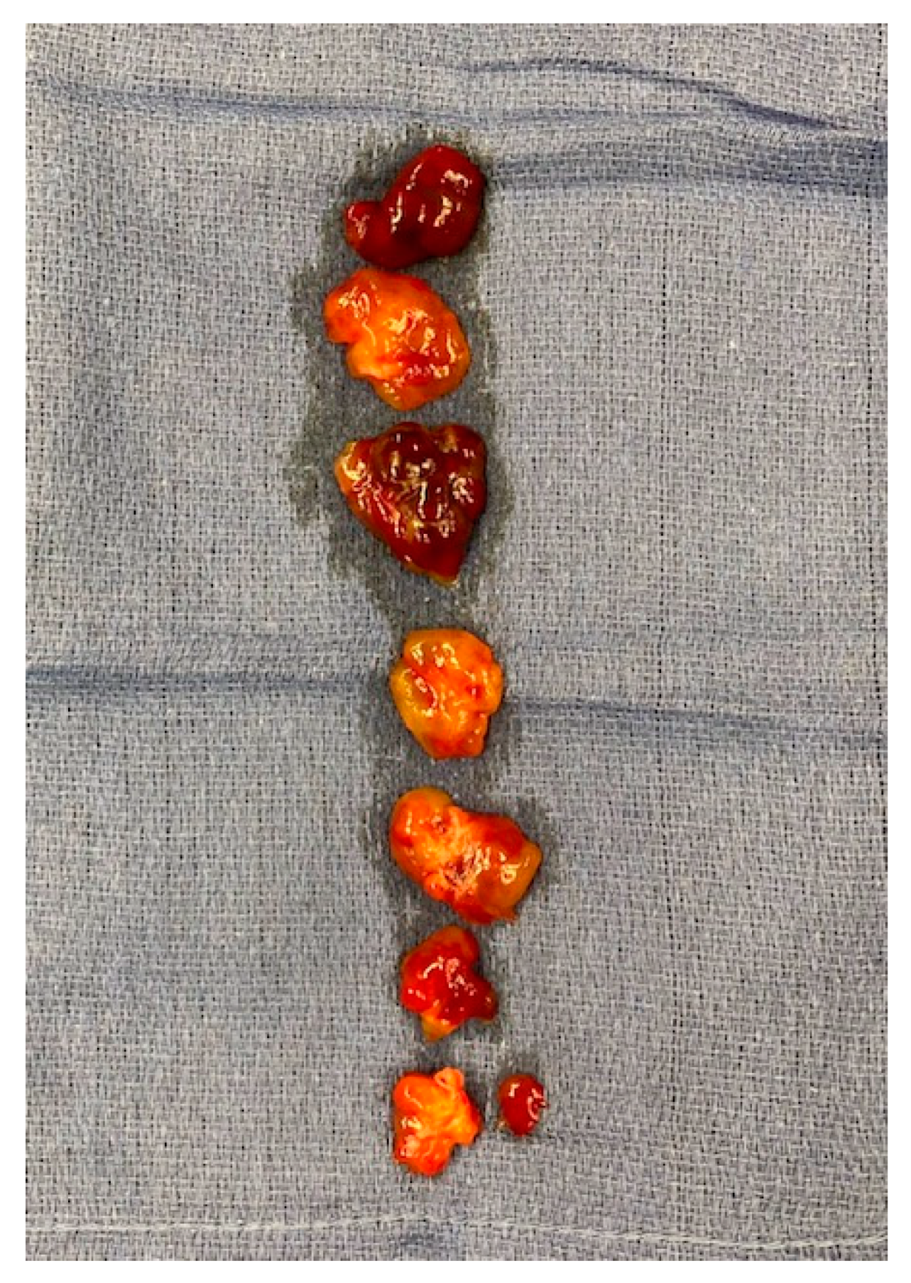 Medicina 60 01390 g004