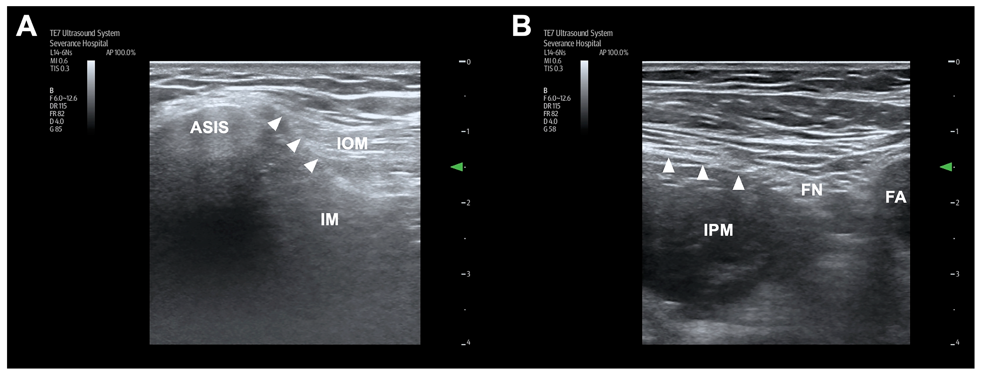 Medicina 60 01391 g001