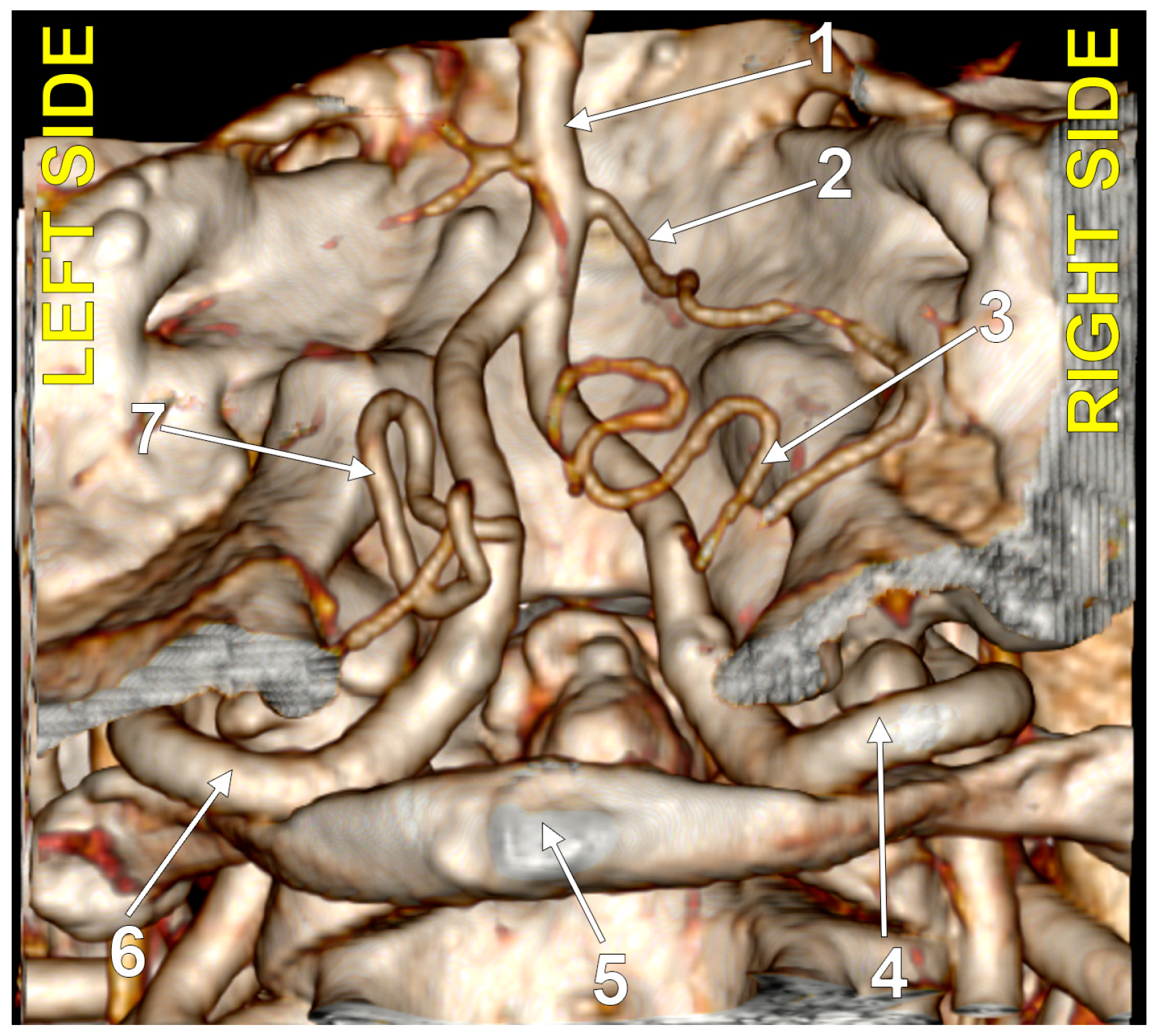 Medicina 60 01397 g002