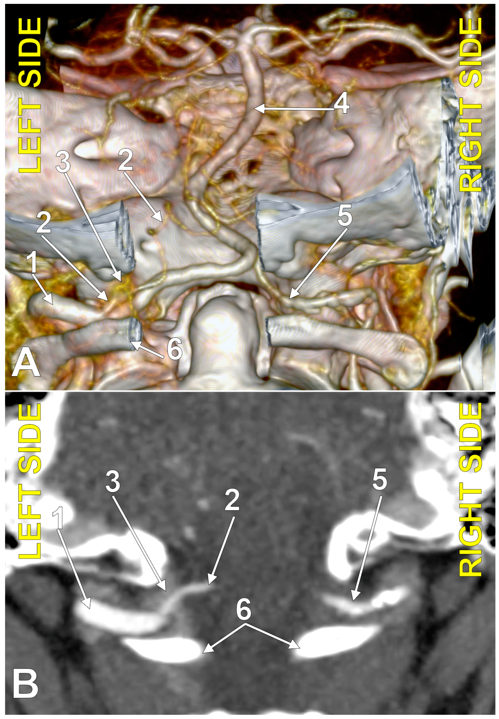Medicina 60 01397 g003
