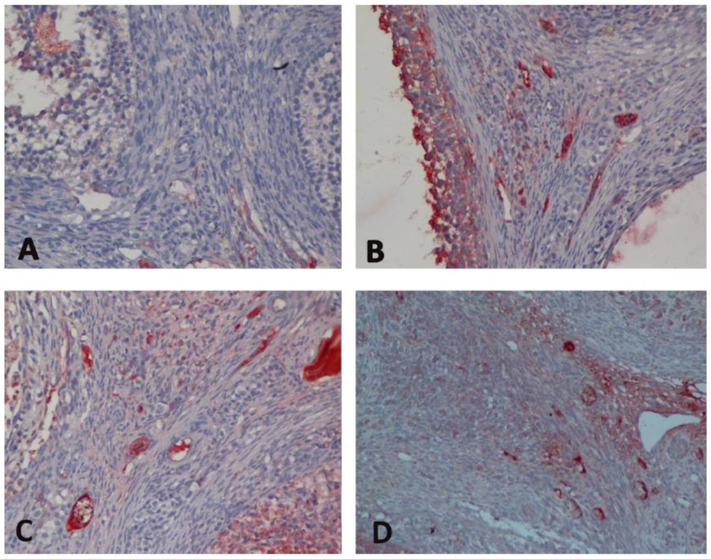 Medicina 60 01403 g002