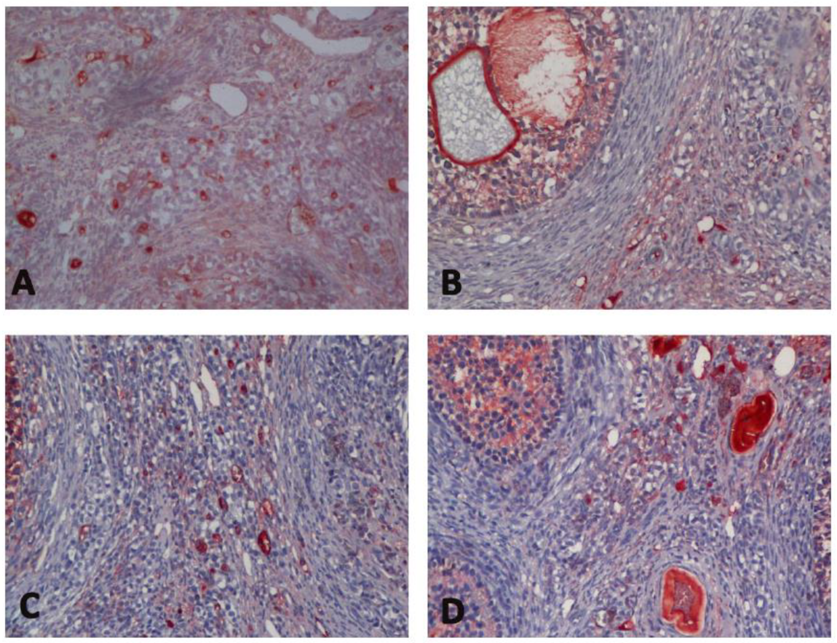 Medicina 60 01403 g003