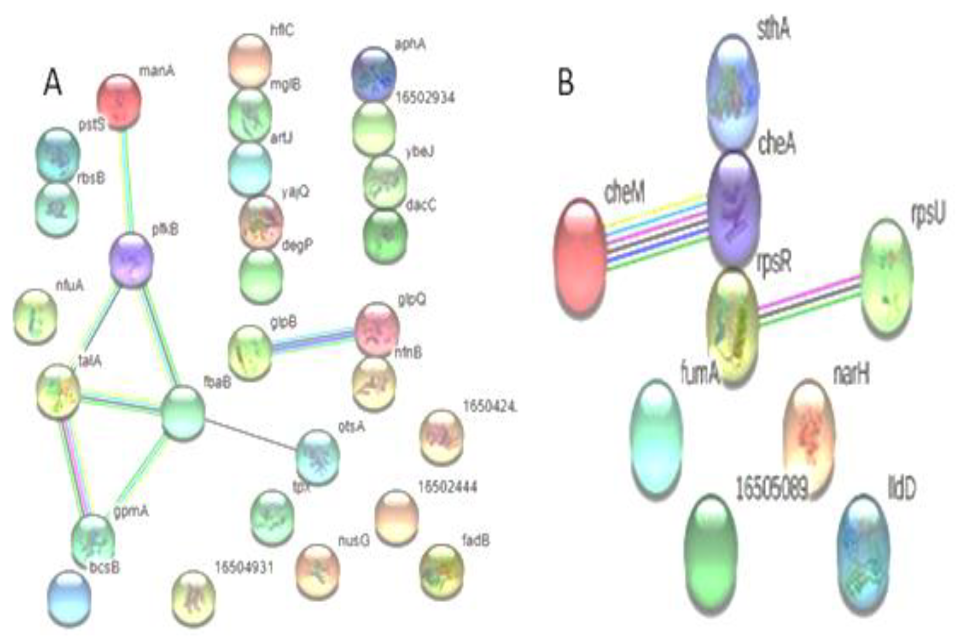 Medicina 60 01404 g004 Medicina 60 01404 g004