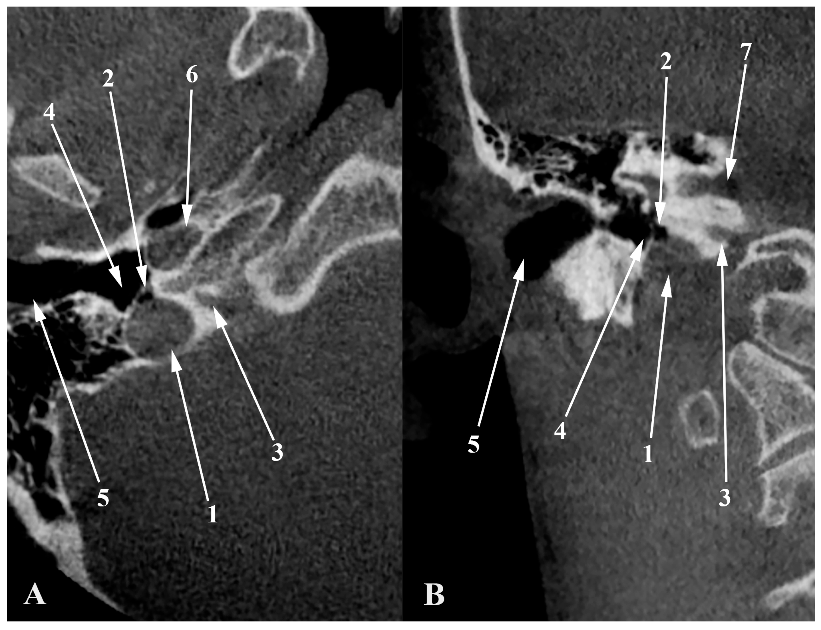 Medicina 60 01408 g010