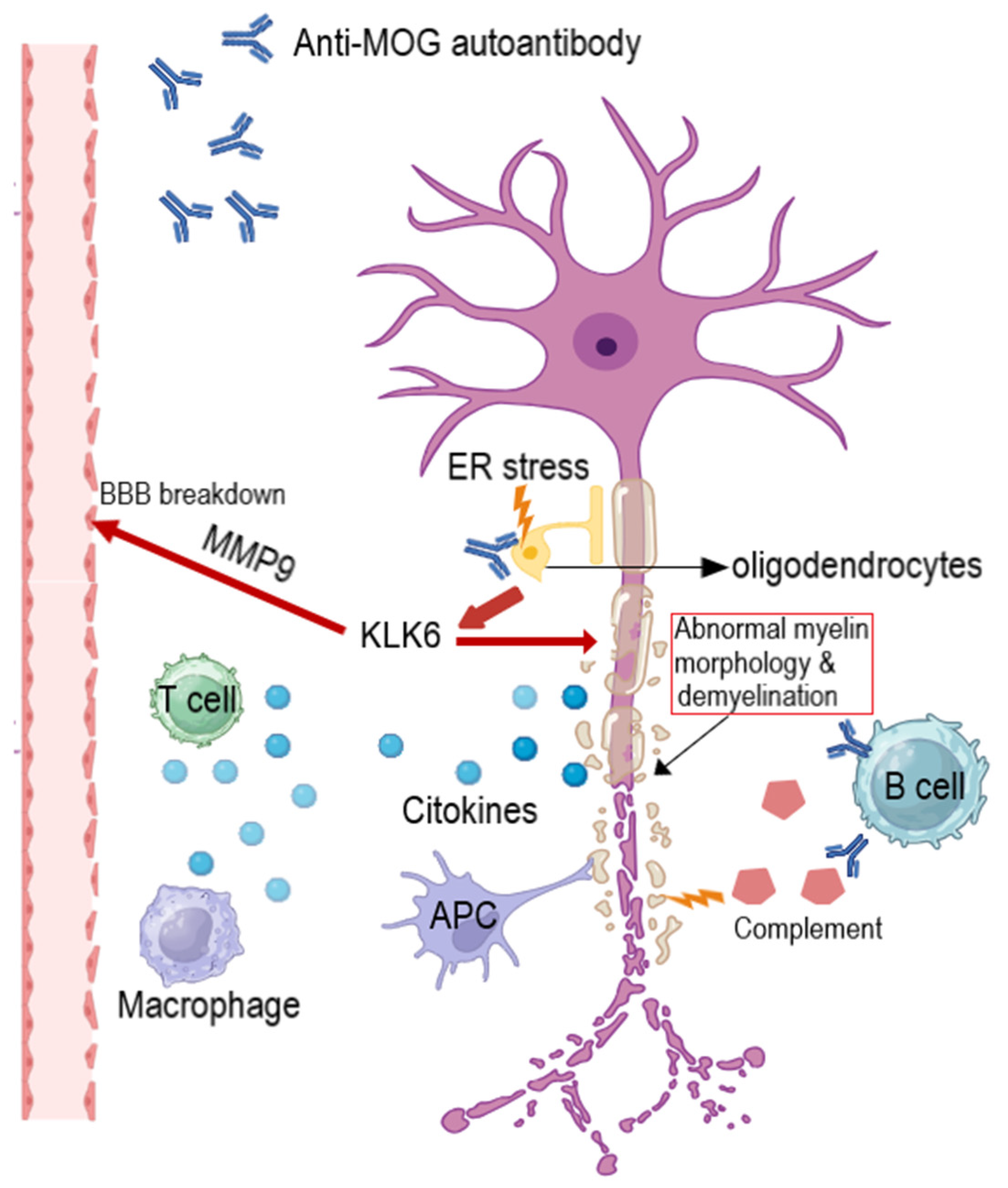 Medicina 60 01409 g005