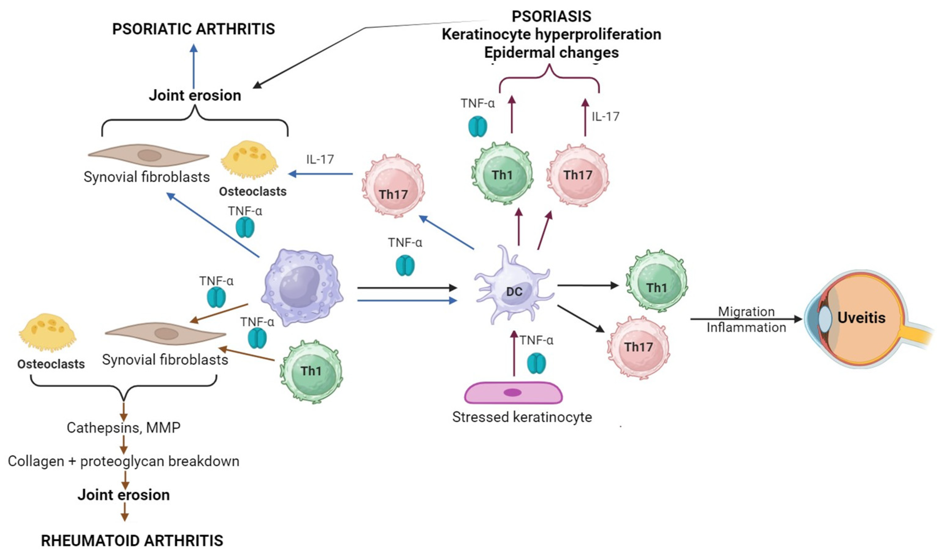 Medicina 60 01409 g006