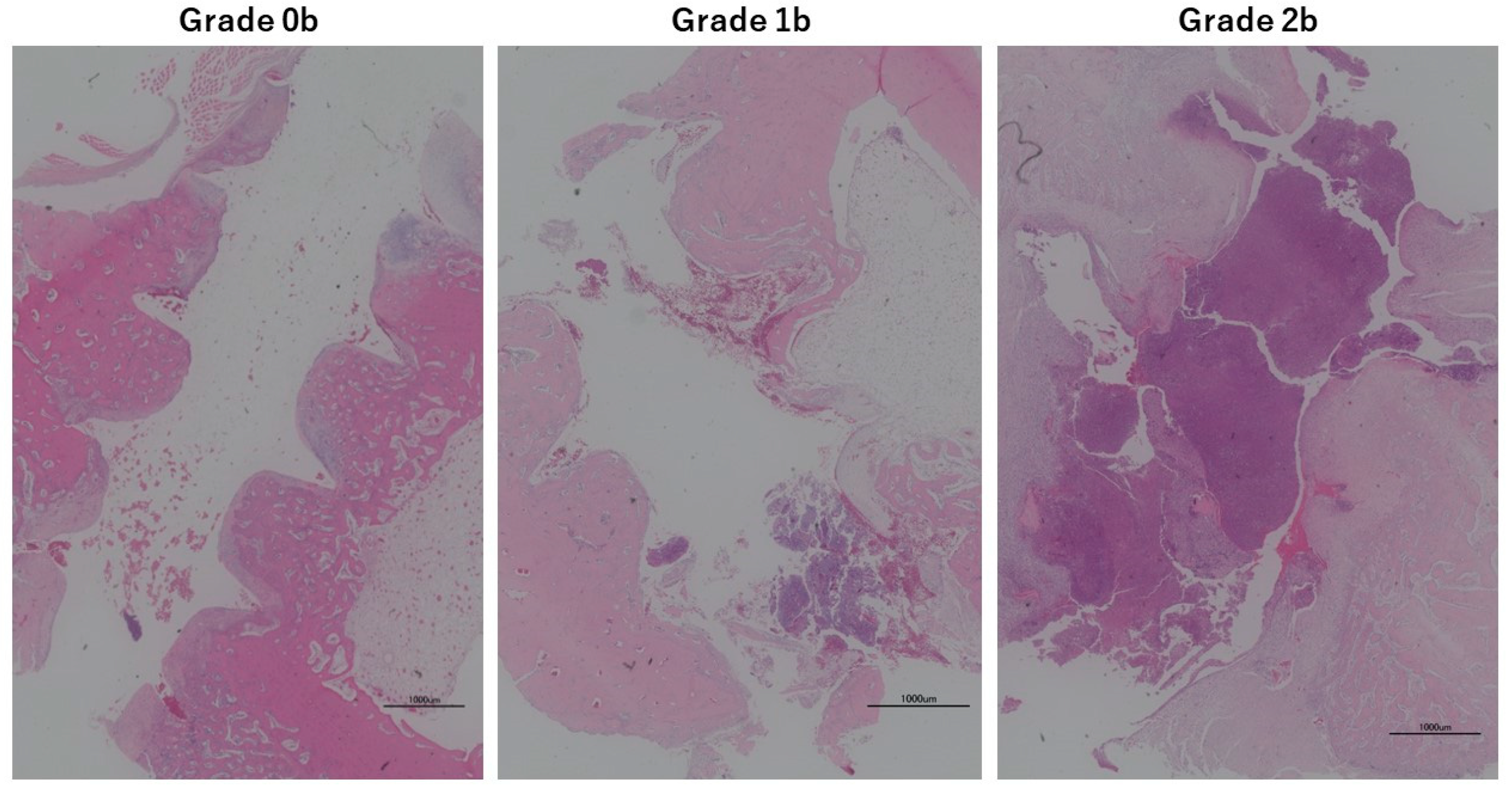 Medicina 60 01419 g003 Medicina 60 01419 g003
