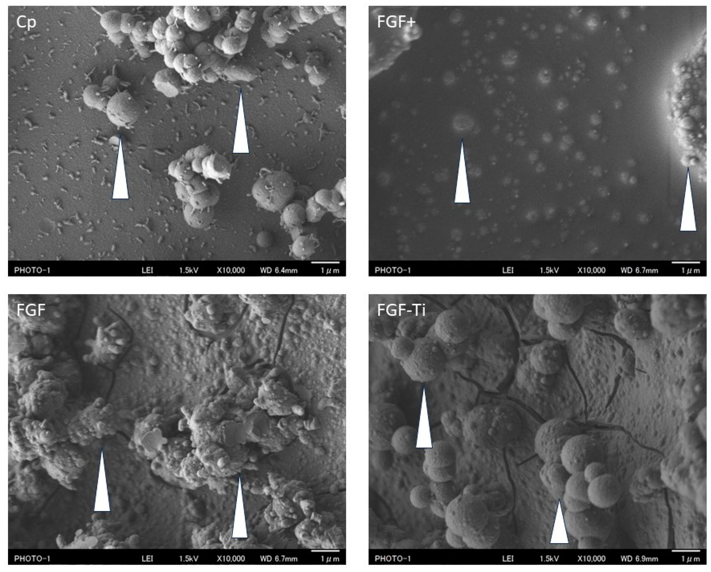 Medicina 60 01419 g004 Medicina 60 01419 g004