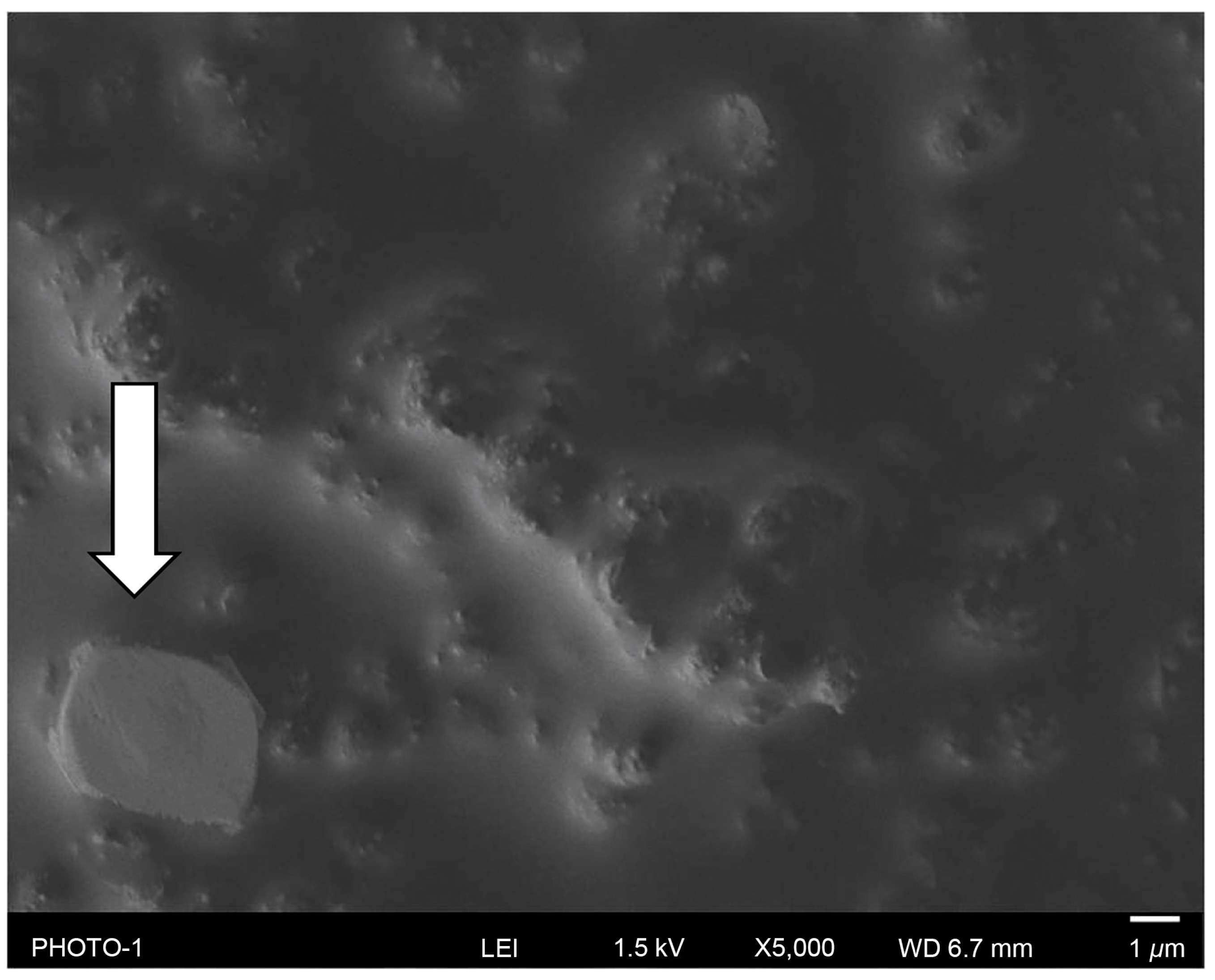 Medicina 60 01419 g005 Medicina 60 01419 g005