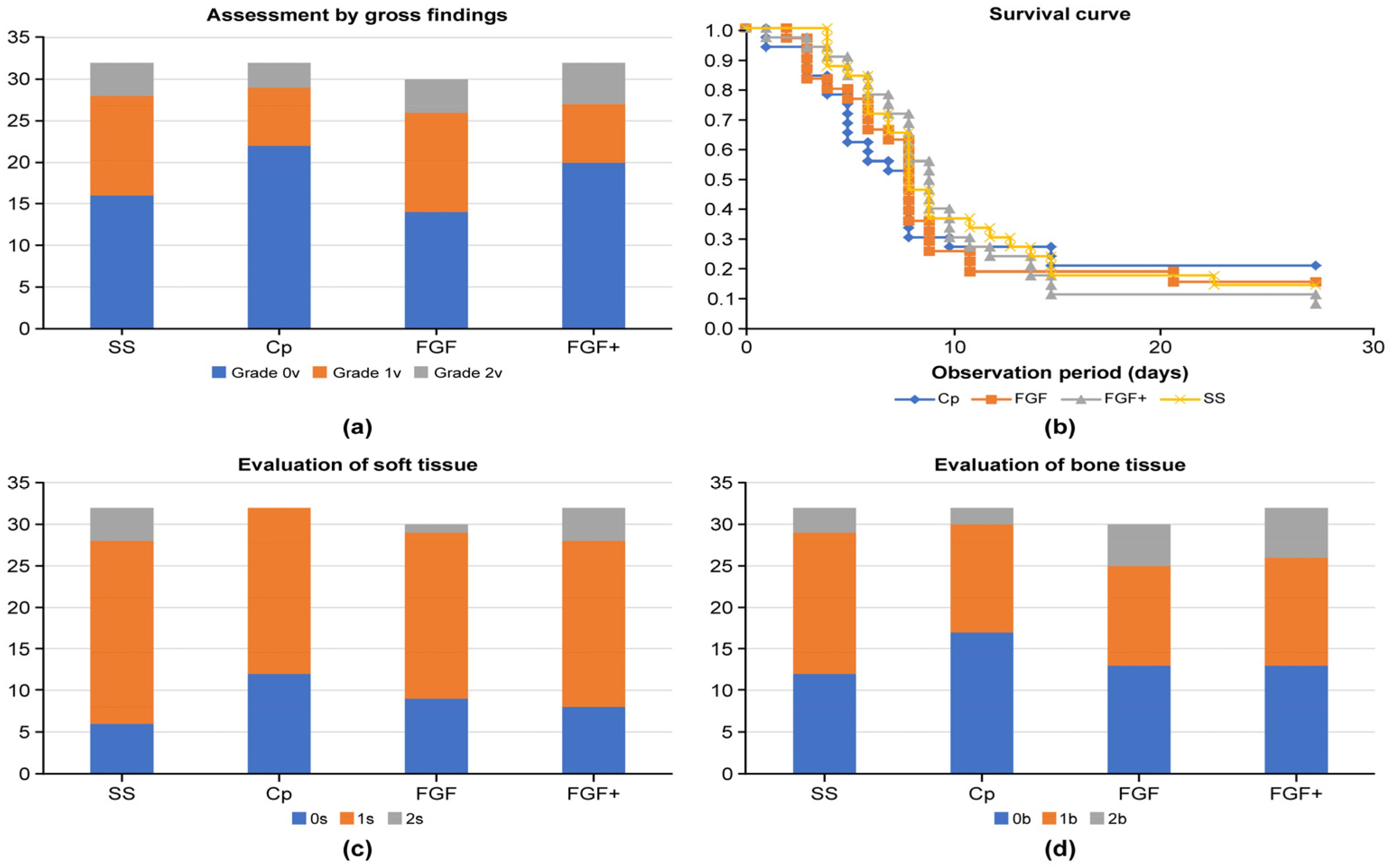 Medicina 60 01419 g010 Medicina 60 01419 g010