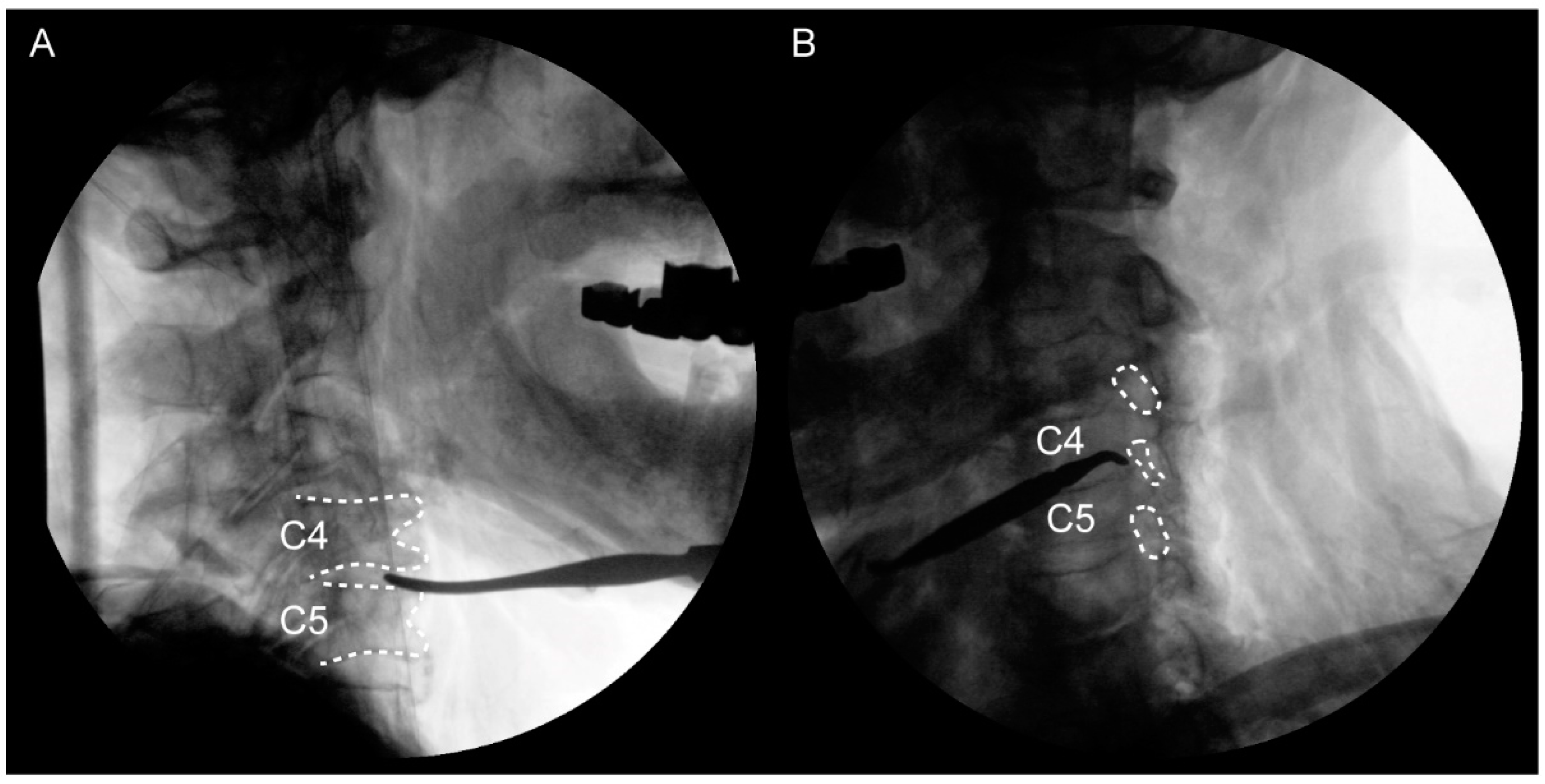 Medicina 60 01429 g002