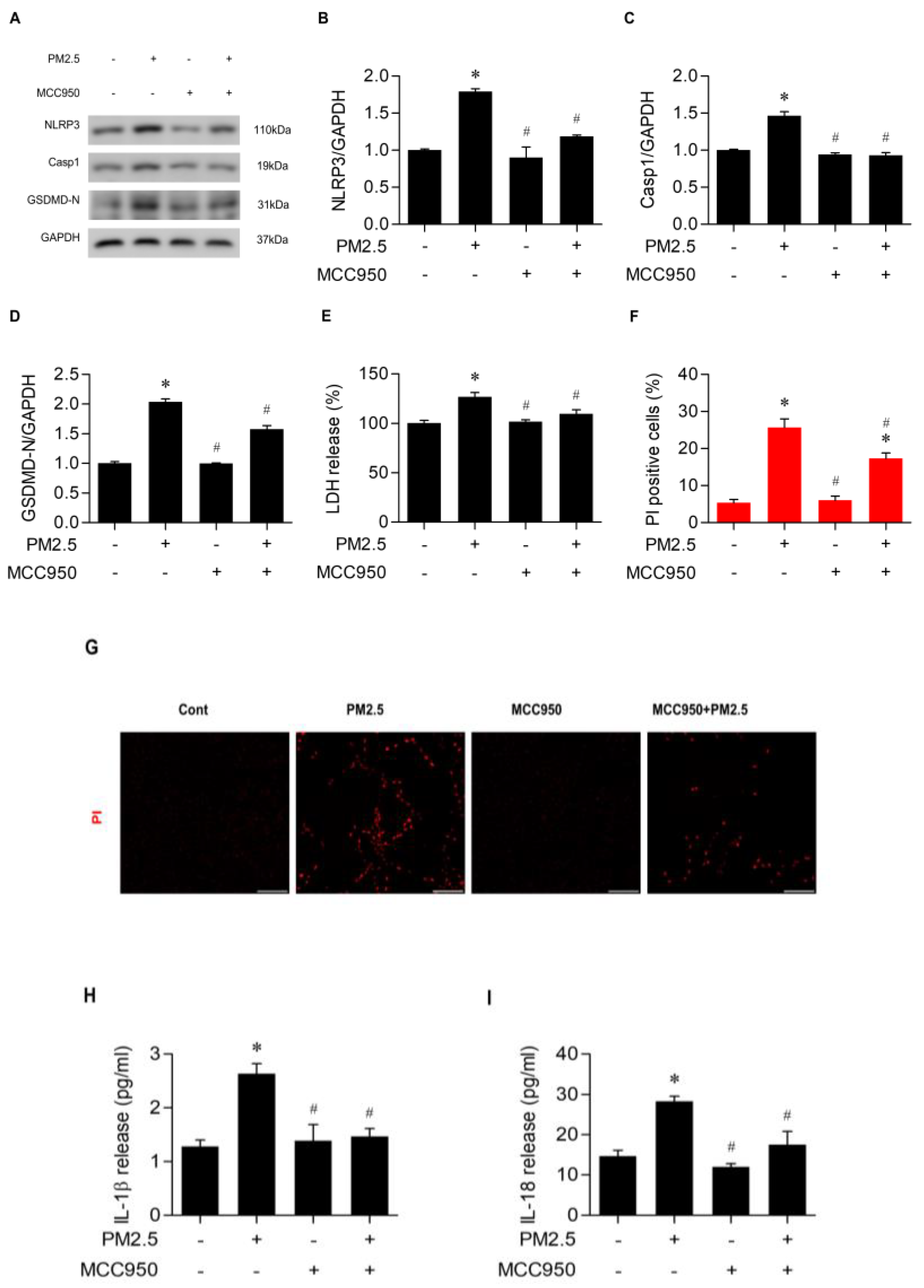 Medicina 60 01434 g003a