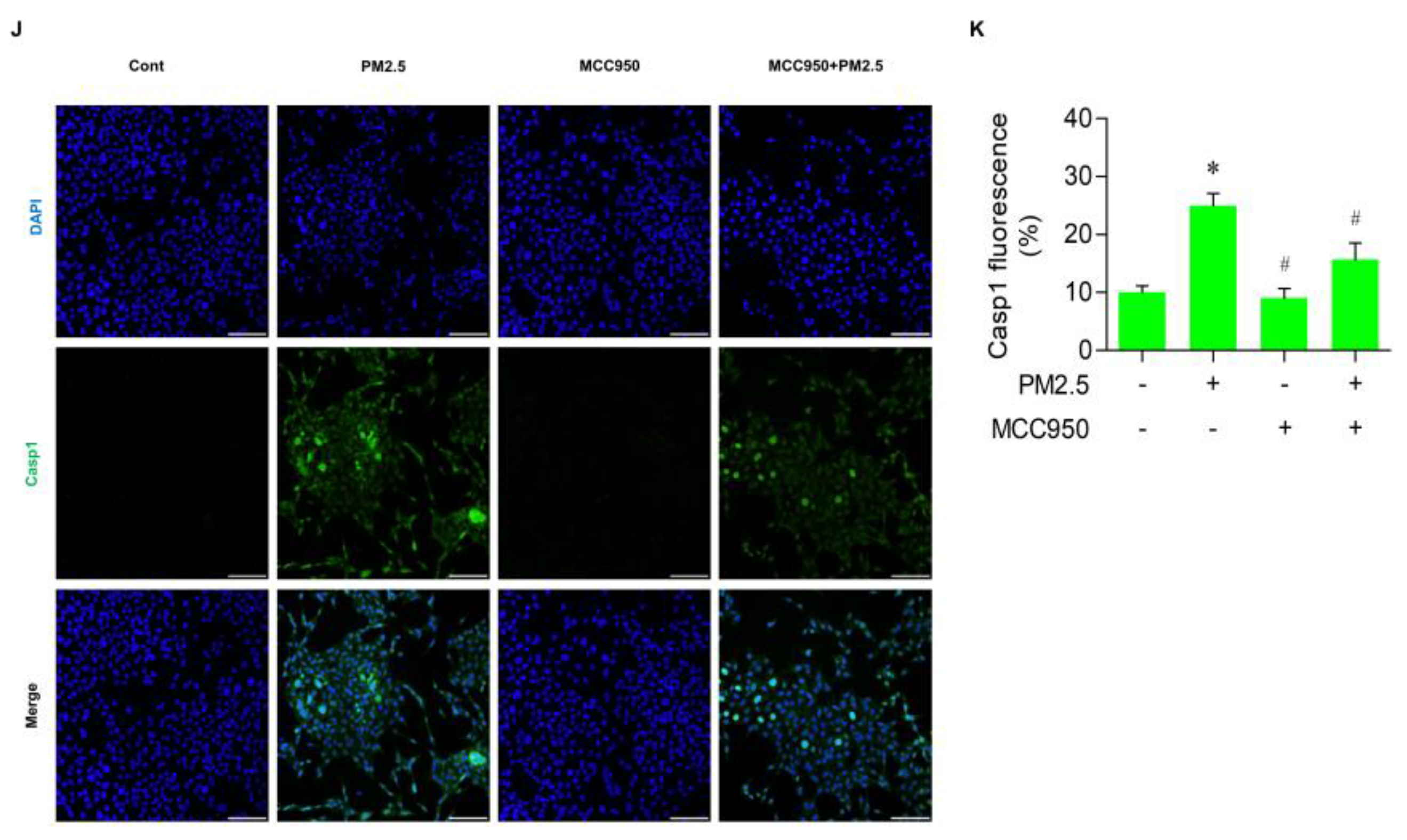 Medicina 60 01434 g003b