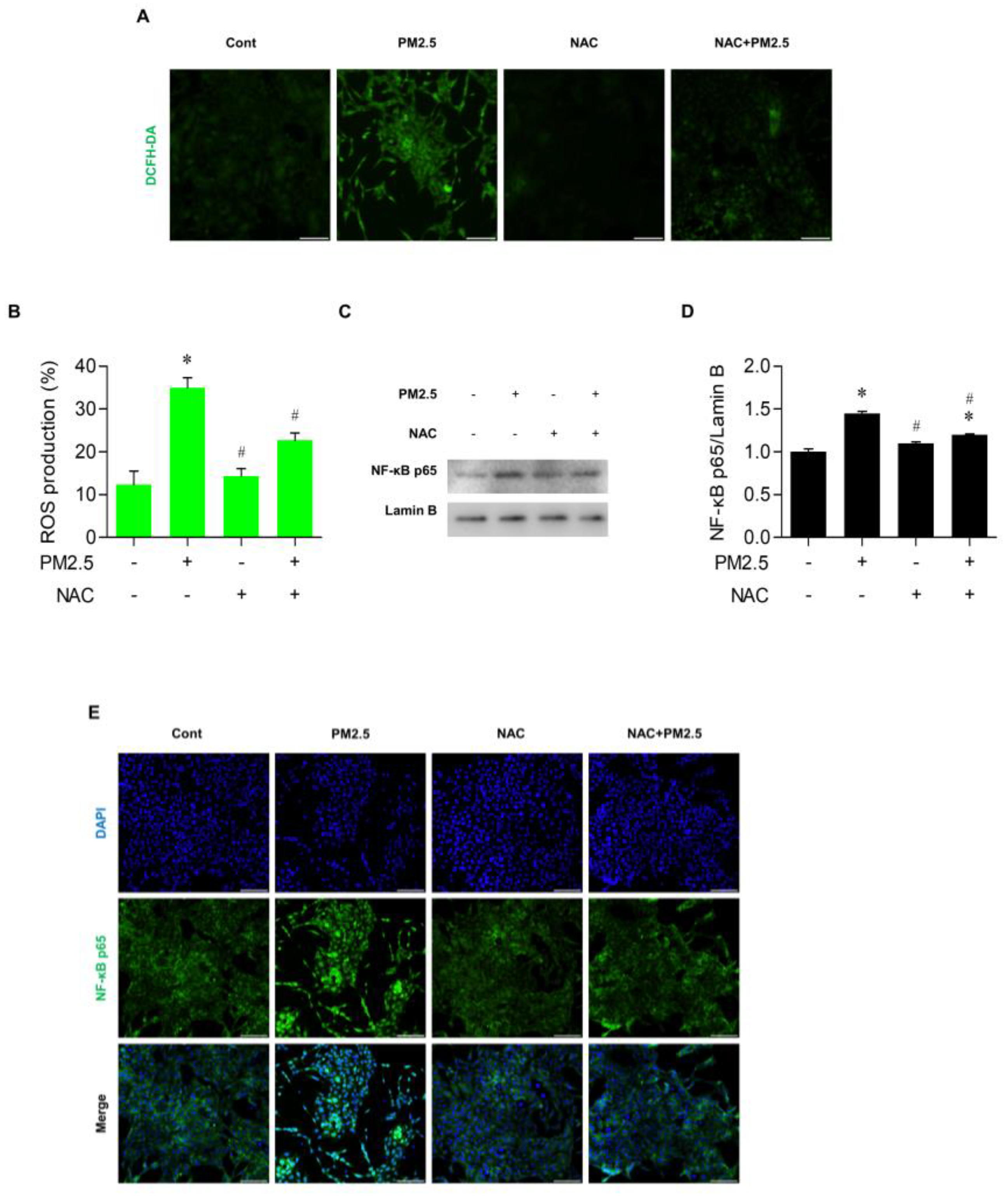 Medicina 60 01434 g004