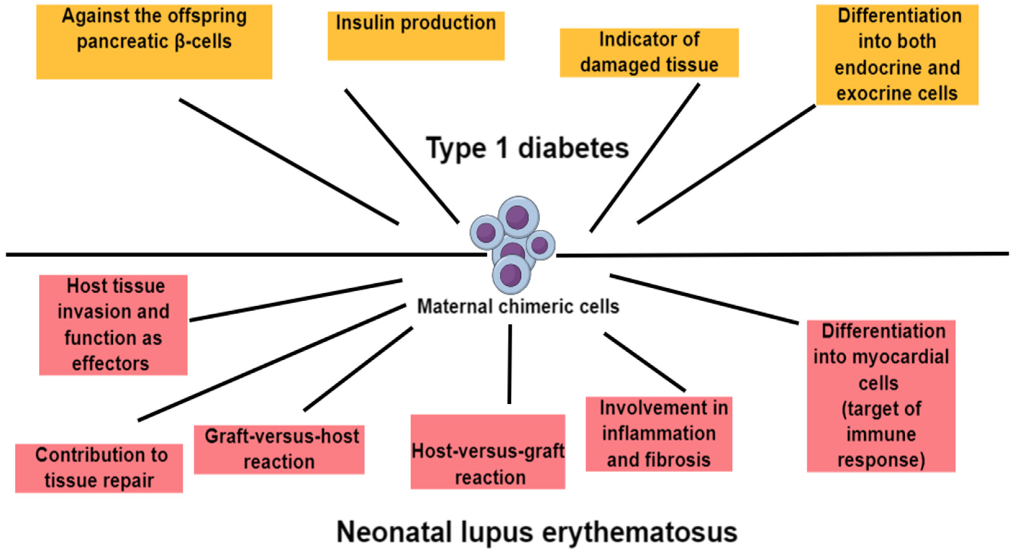 Medicina 60 01457 g002 Medicina 60 01457 g002