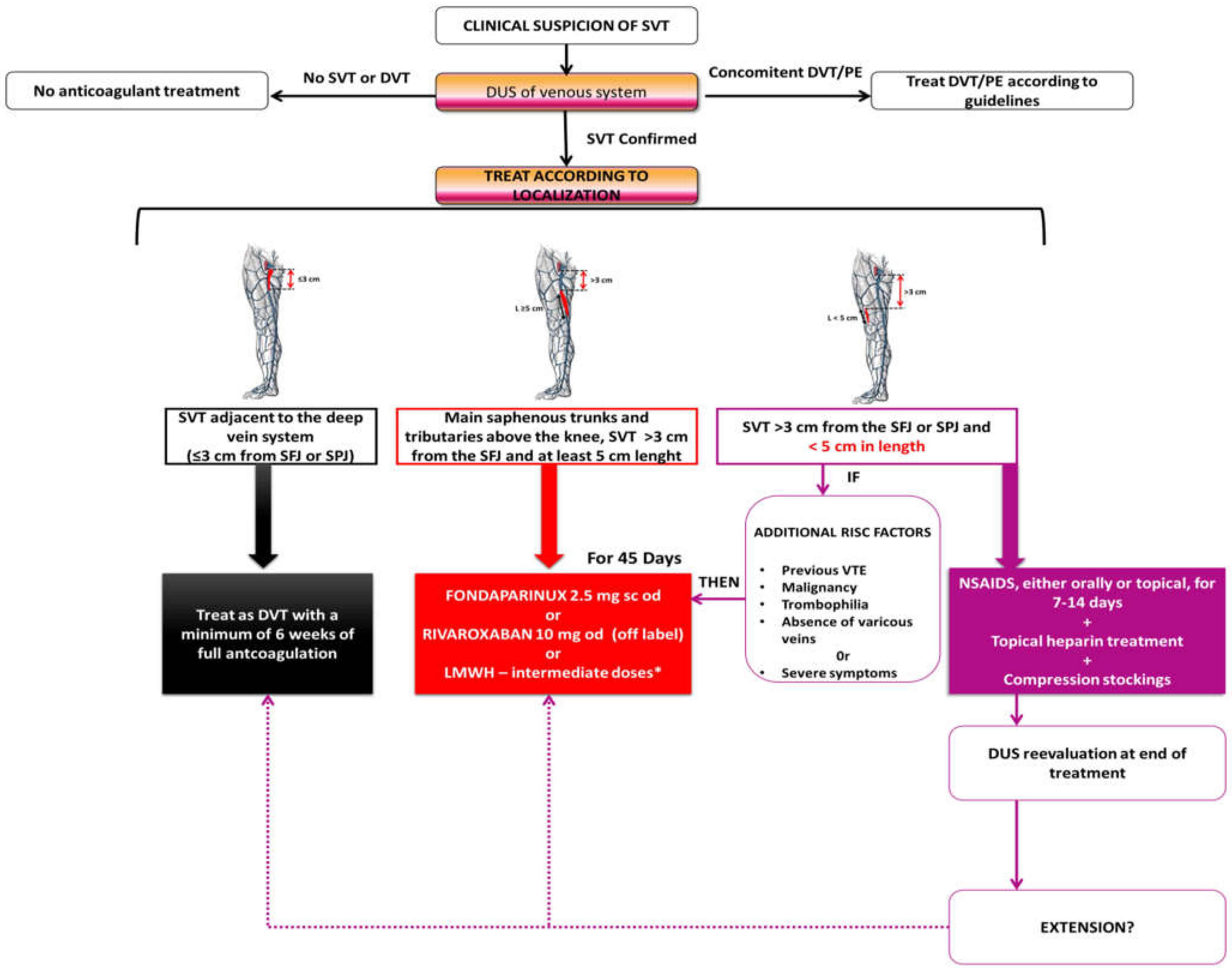 Medicina 60 01466 g001 Medicina 60 01466 g001