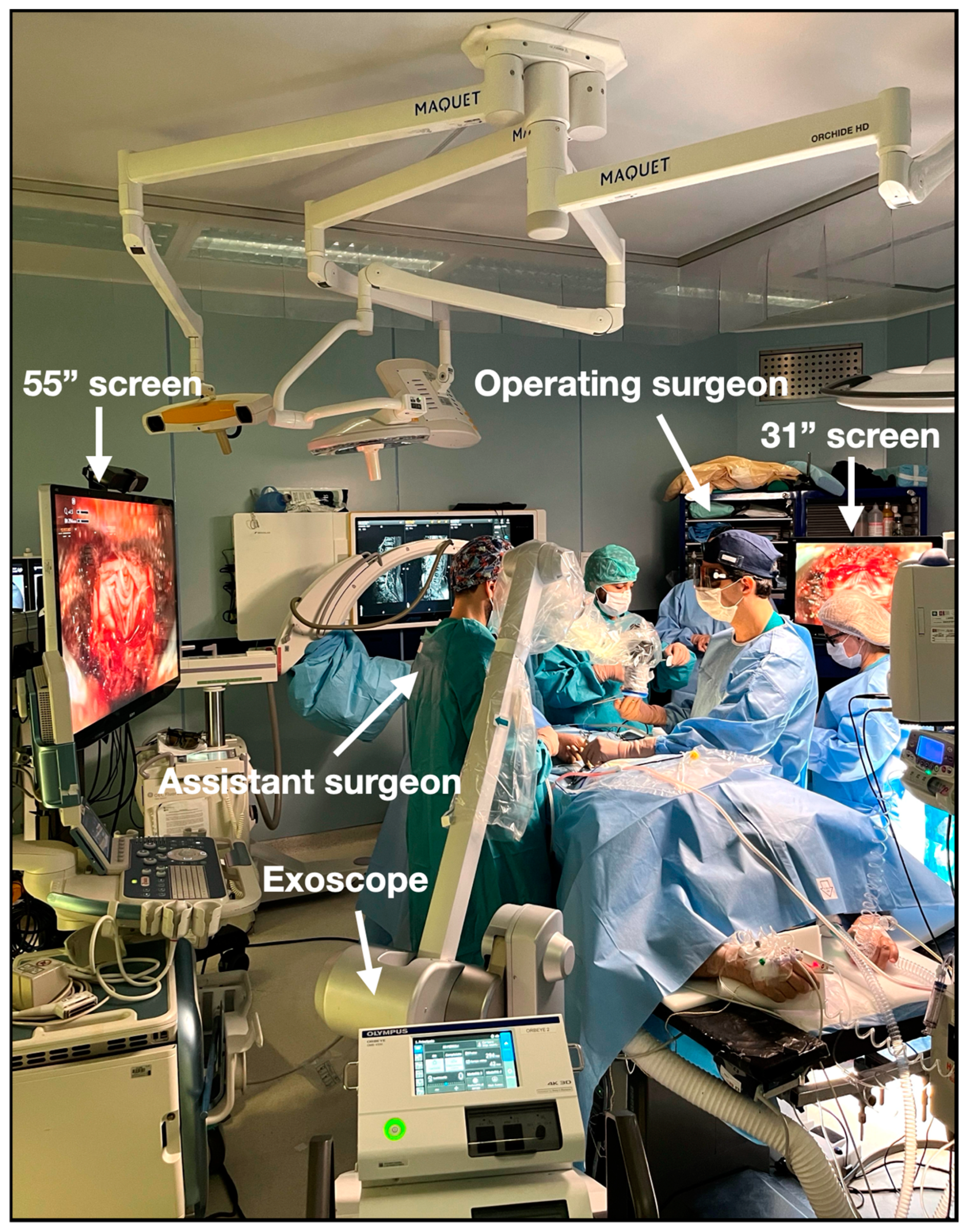 Medicina 60 01476 g001