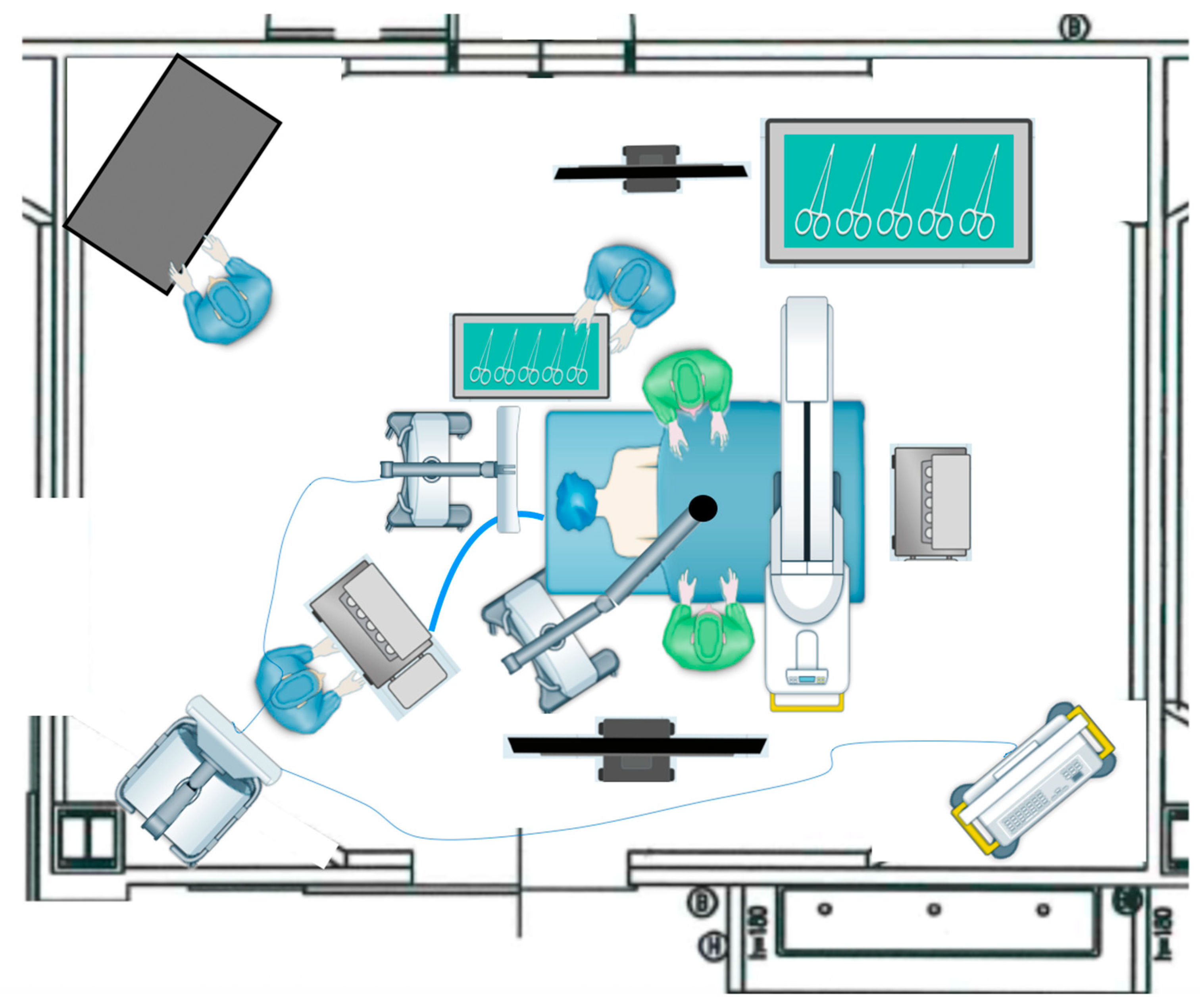 Medicina 60 01476 g002