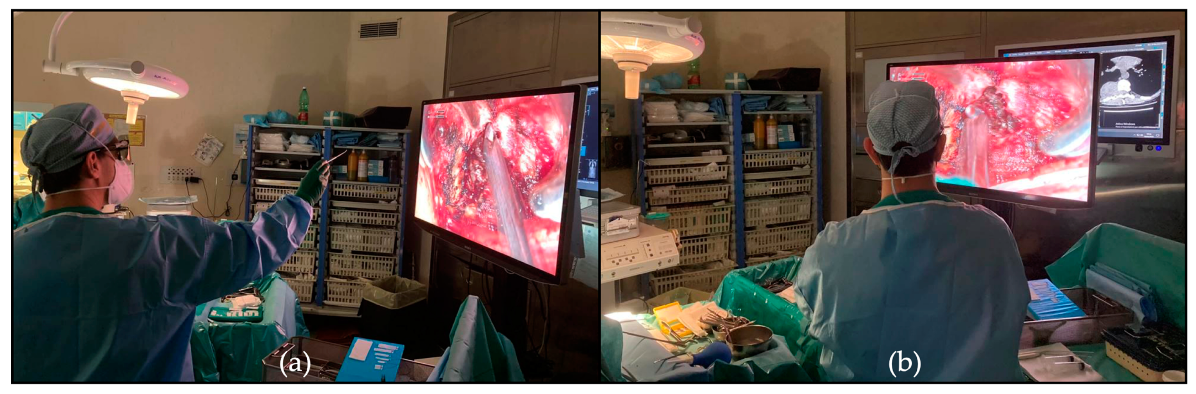 Medicina 60 01476 g003