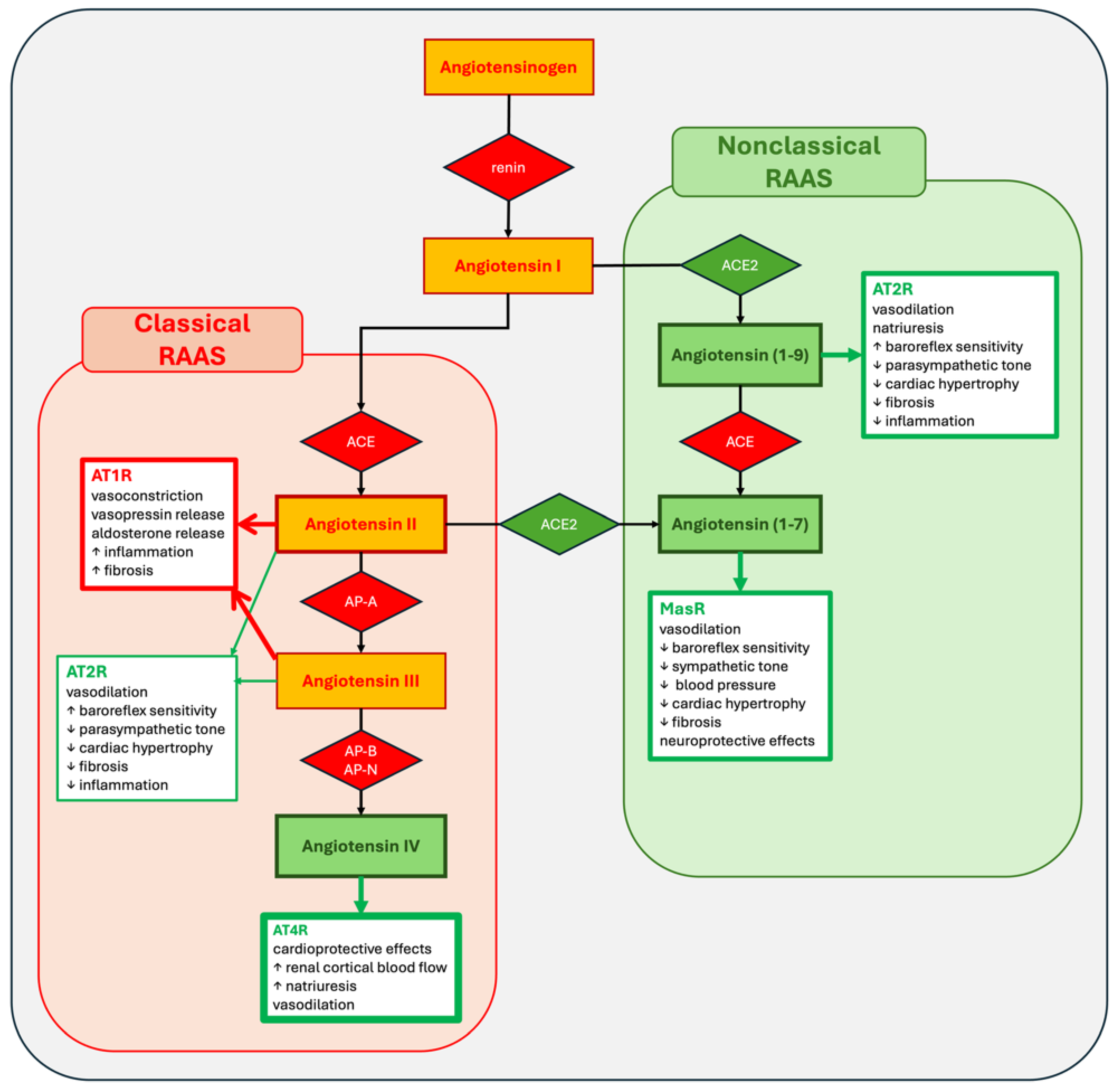 Medicina 60 01483 g001