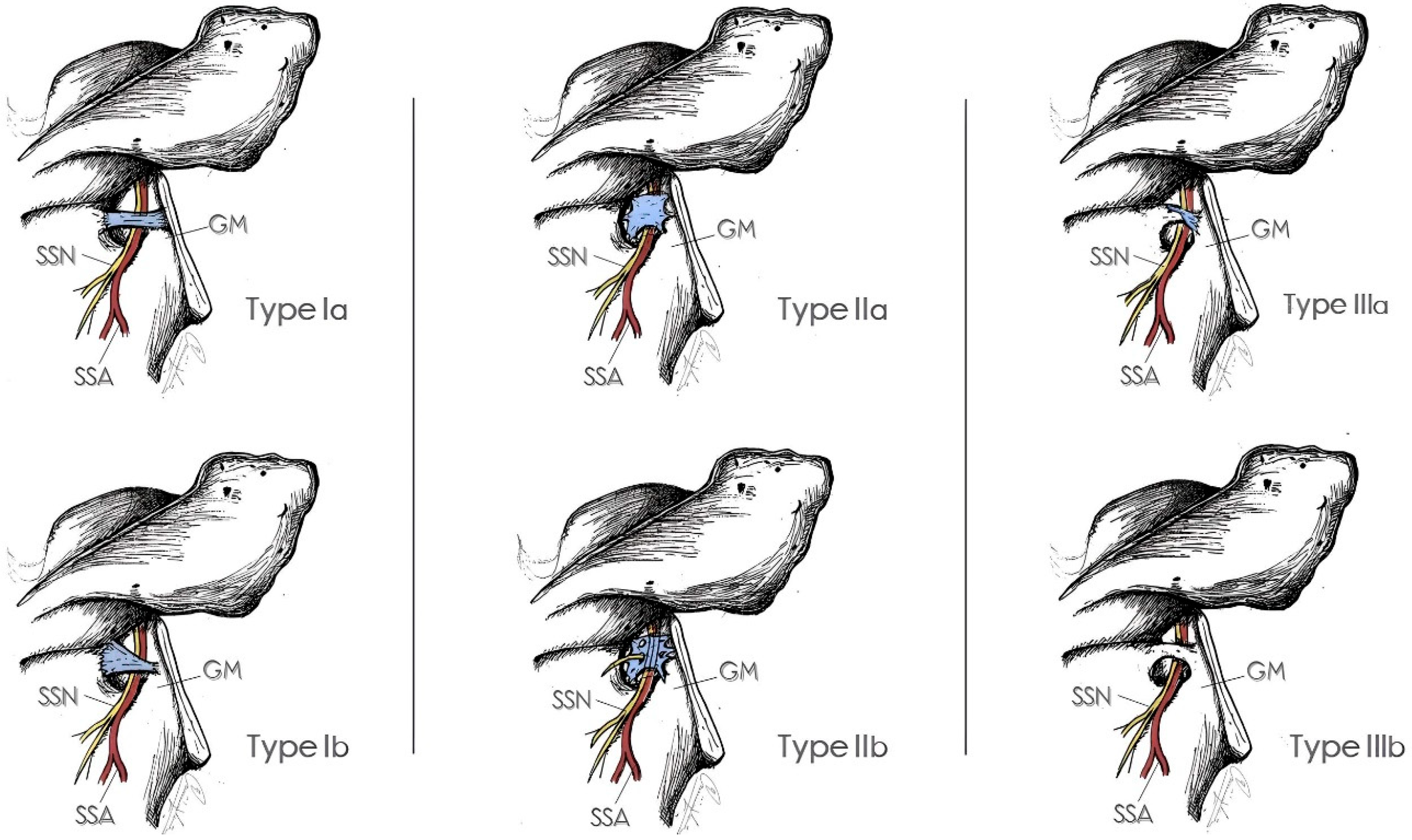 Medicina 60 01504 g004 Medicina 60 01504 g004