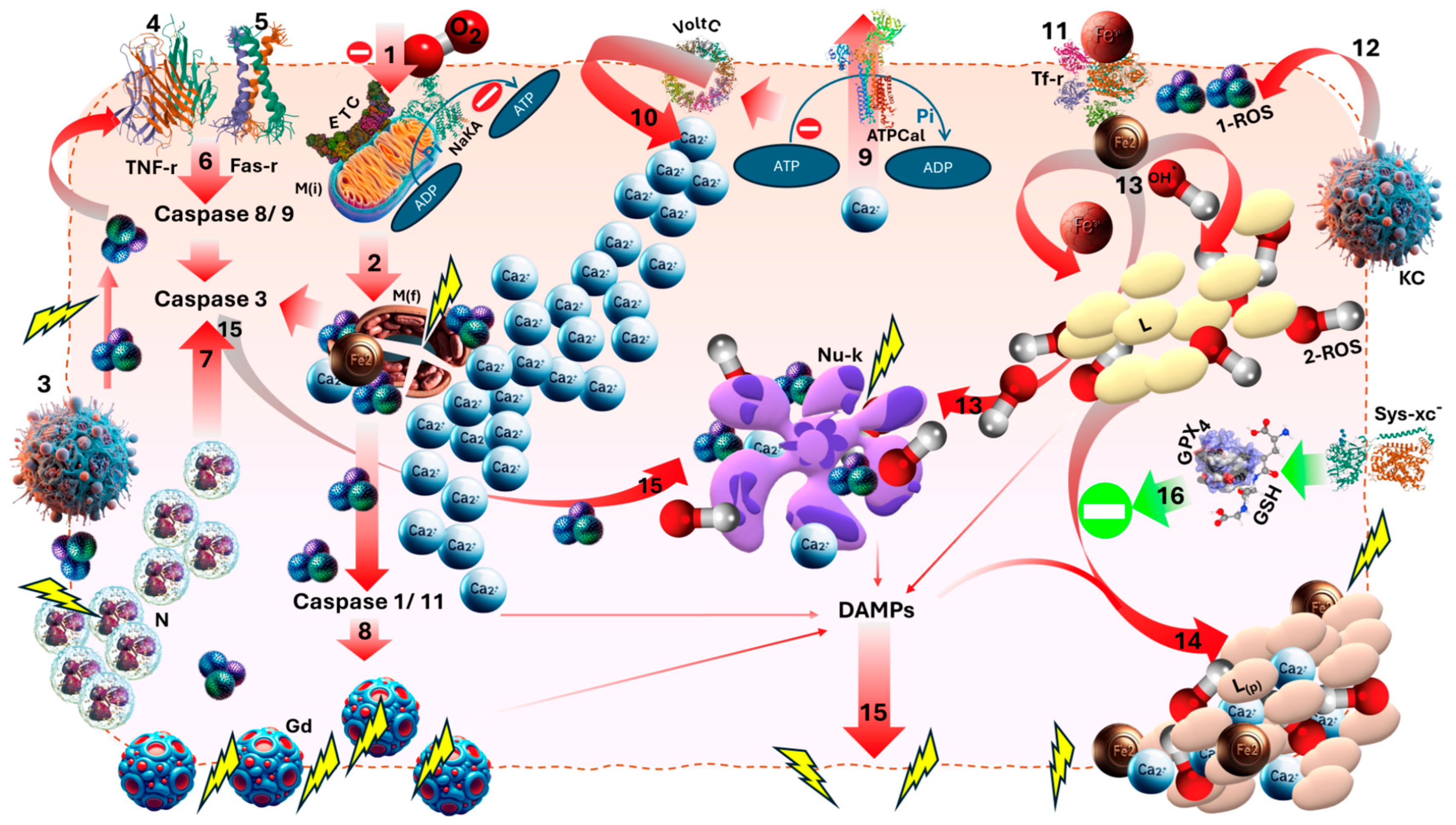 Medicina 60 01507 g001
