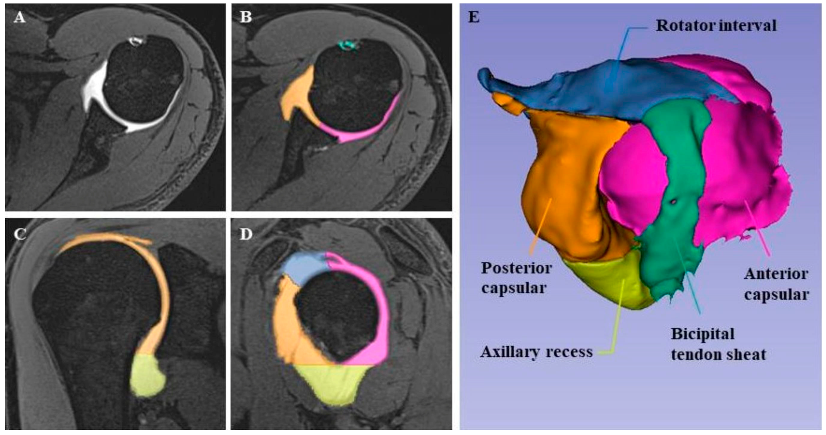 Medicina 60 01508 g001