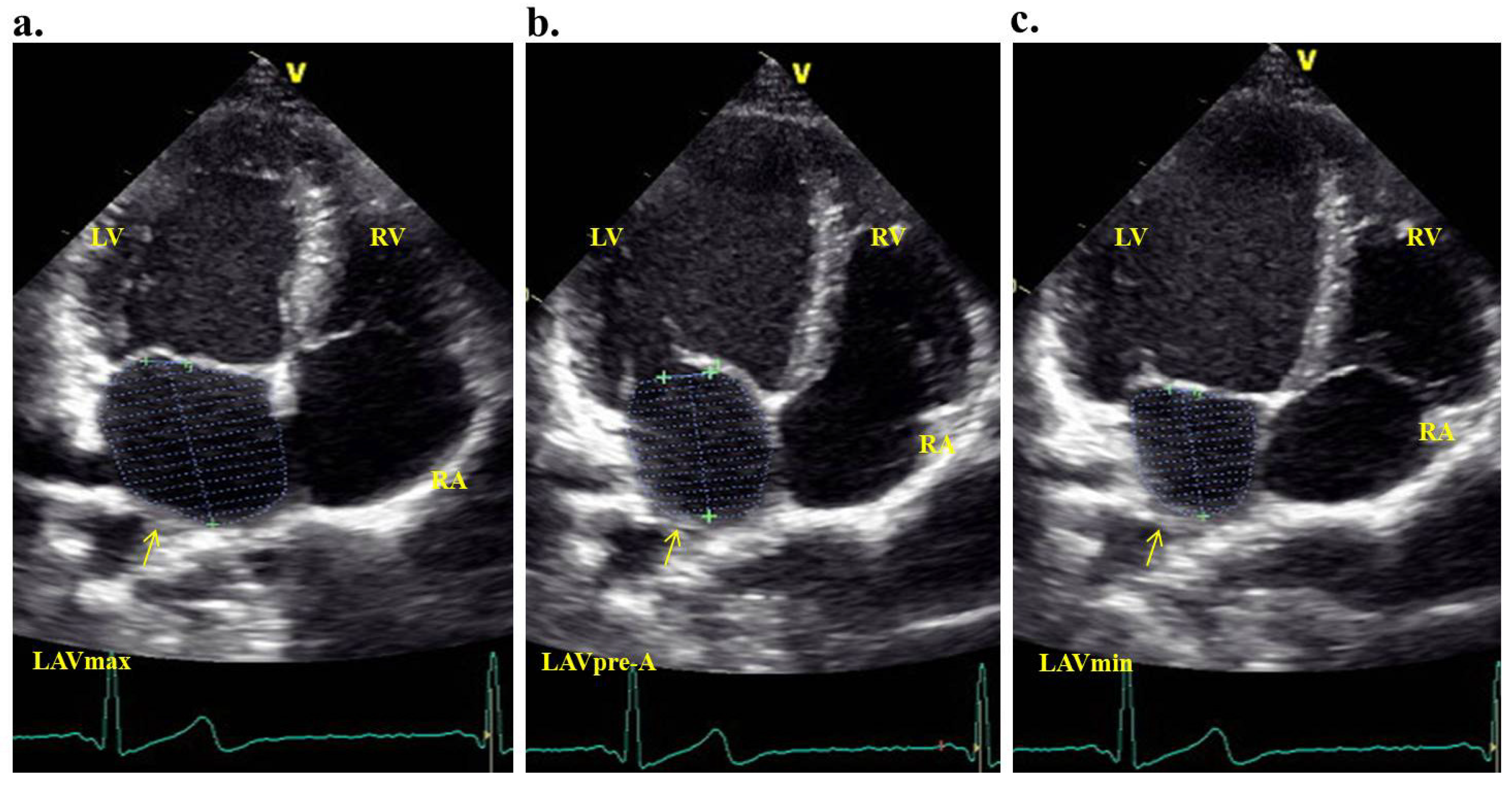 Medicina 60 01516 g002