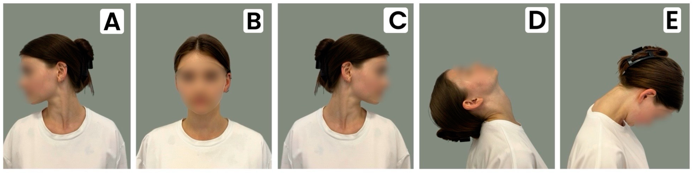 Medicina 60 01520 g001