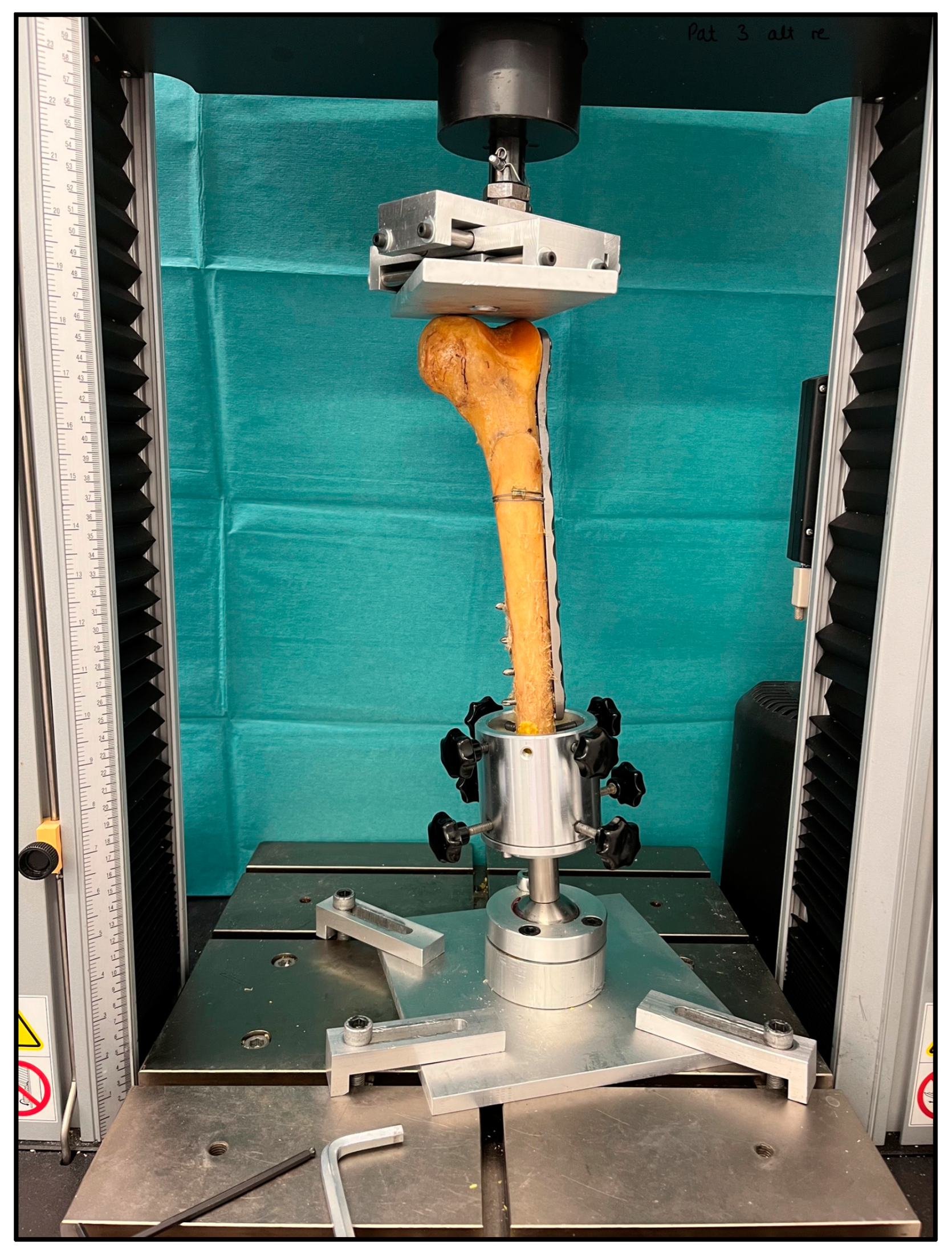 Medicina 60 01524 g004