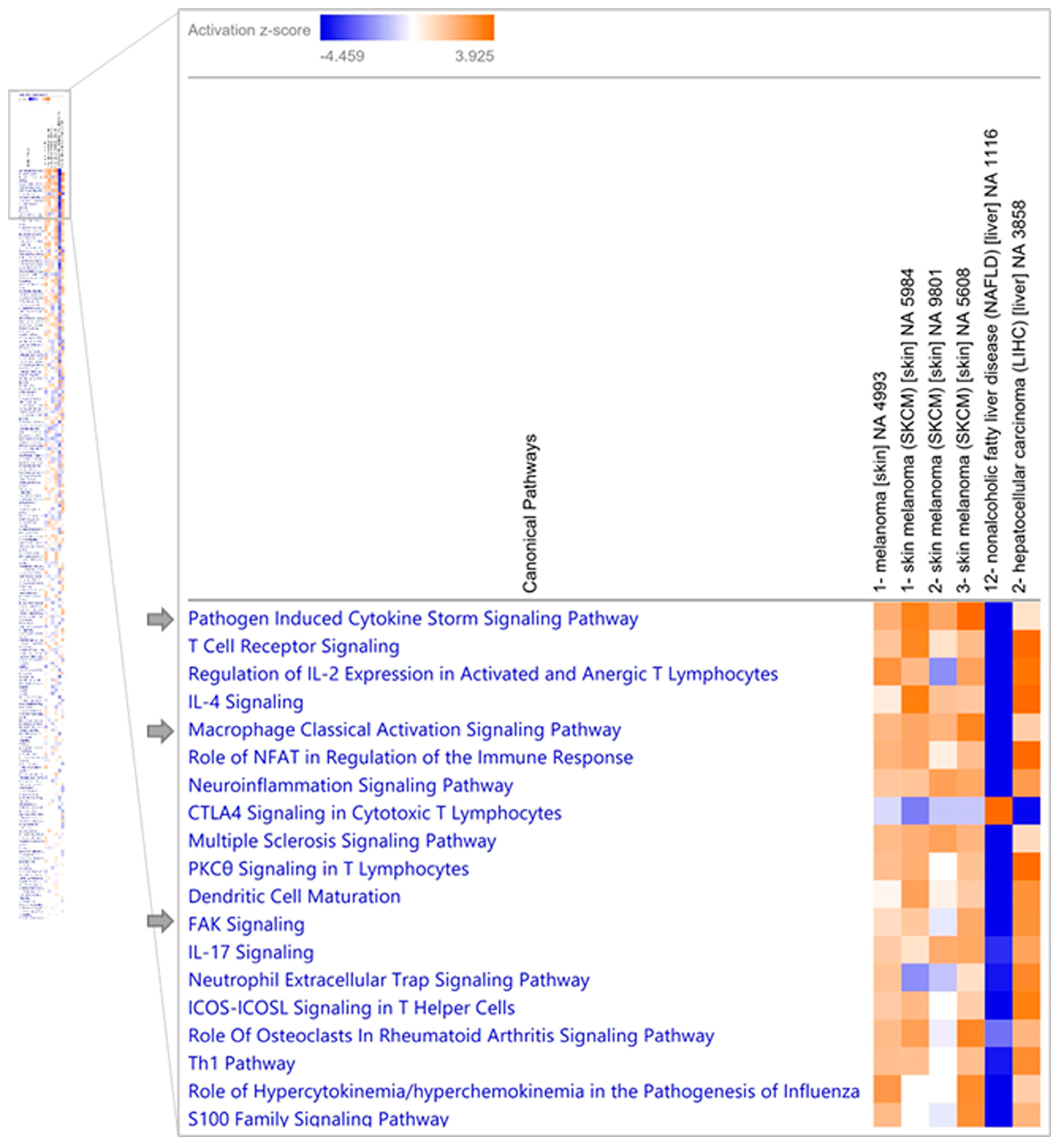 Medicina 60 01531 g007