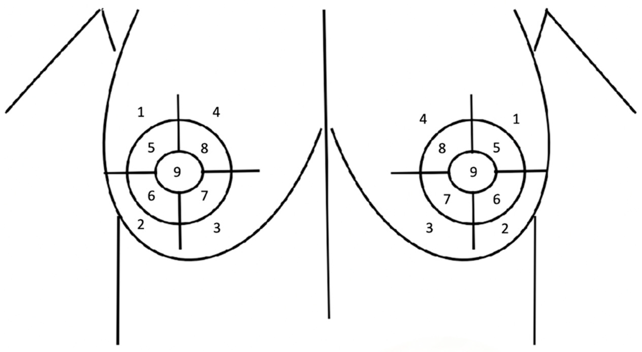 Medicina 60 01533 g003