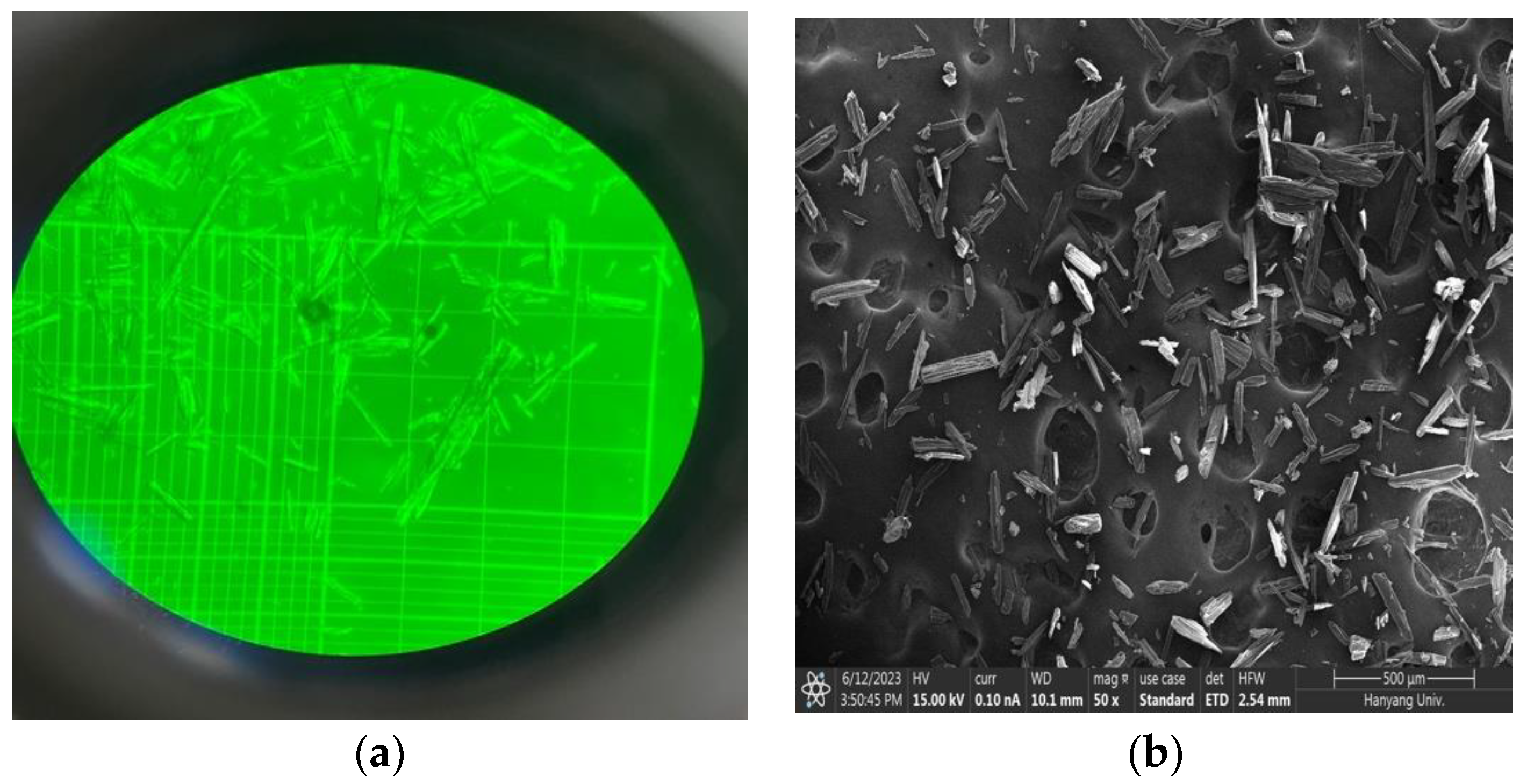 Medicina 60 01538 g001